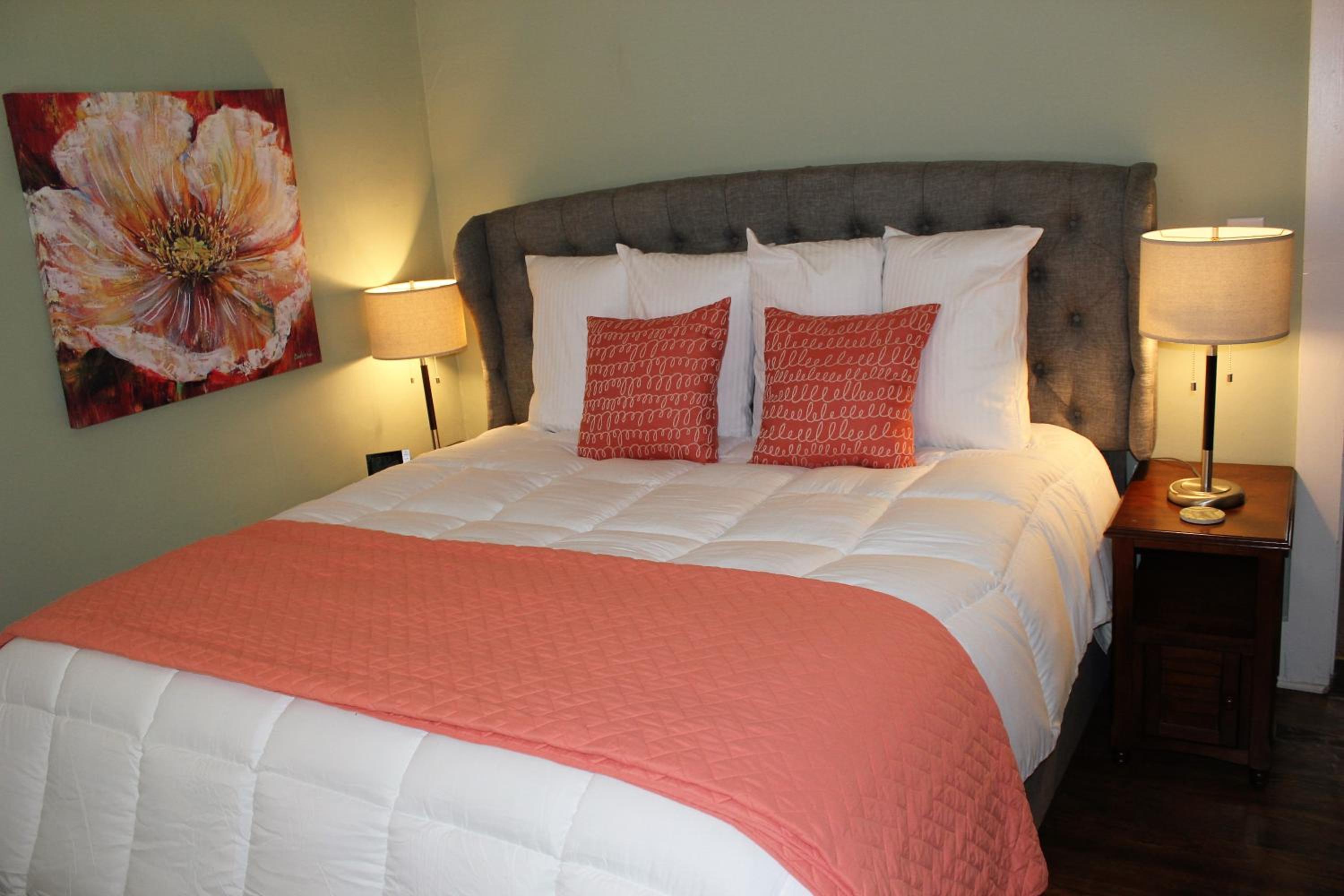 Deluxe King Suite - Photo 1