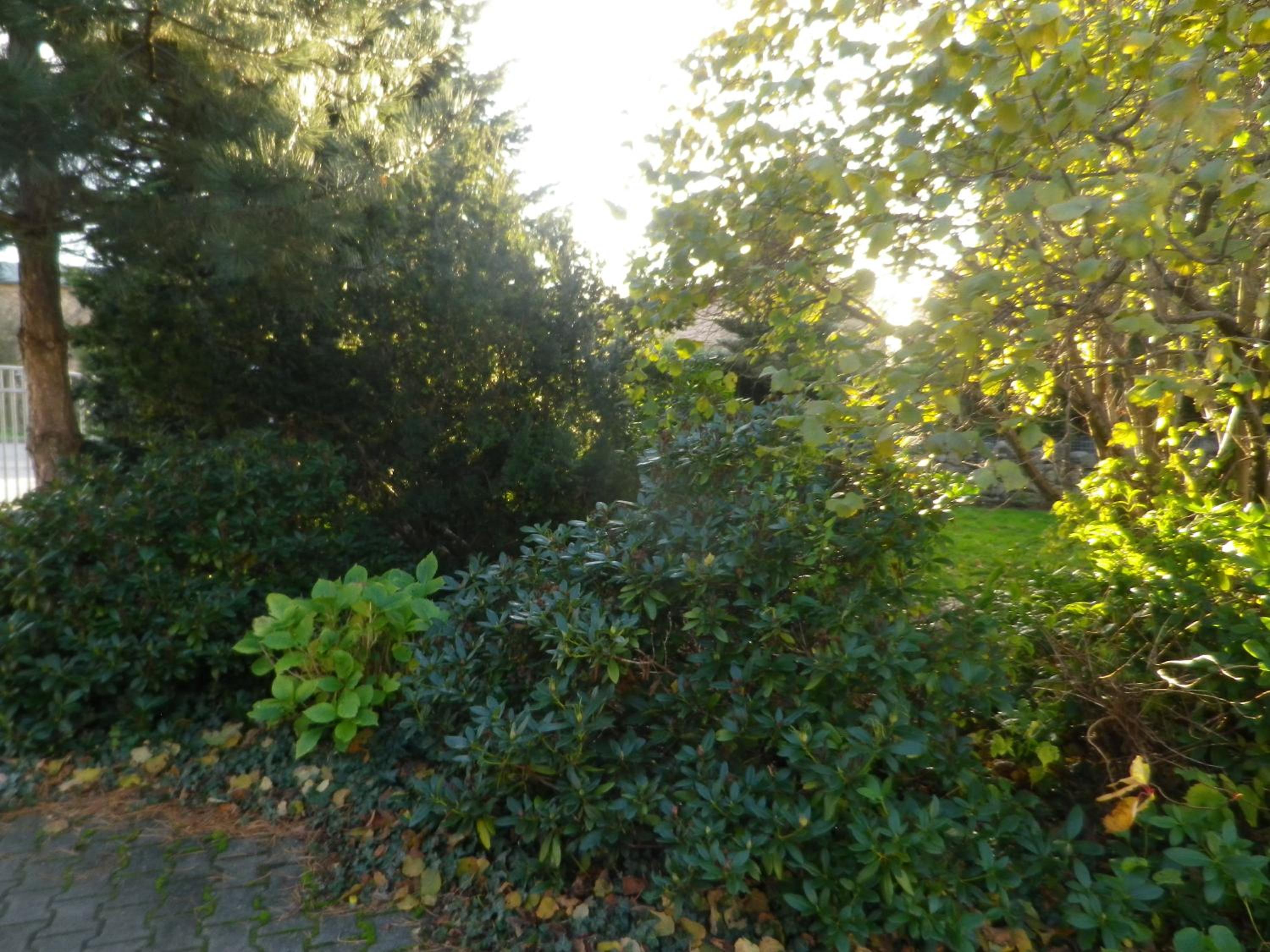 Apartment with Garden View - Photo 18