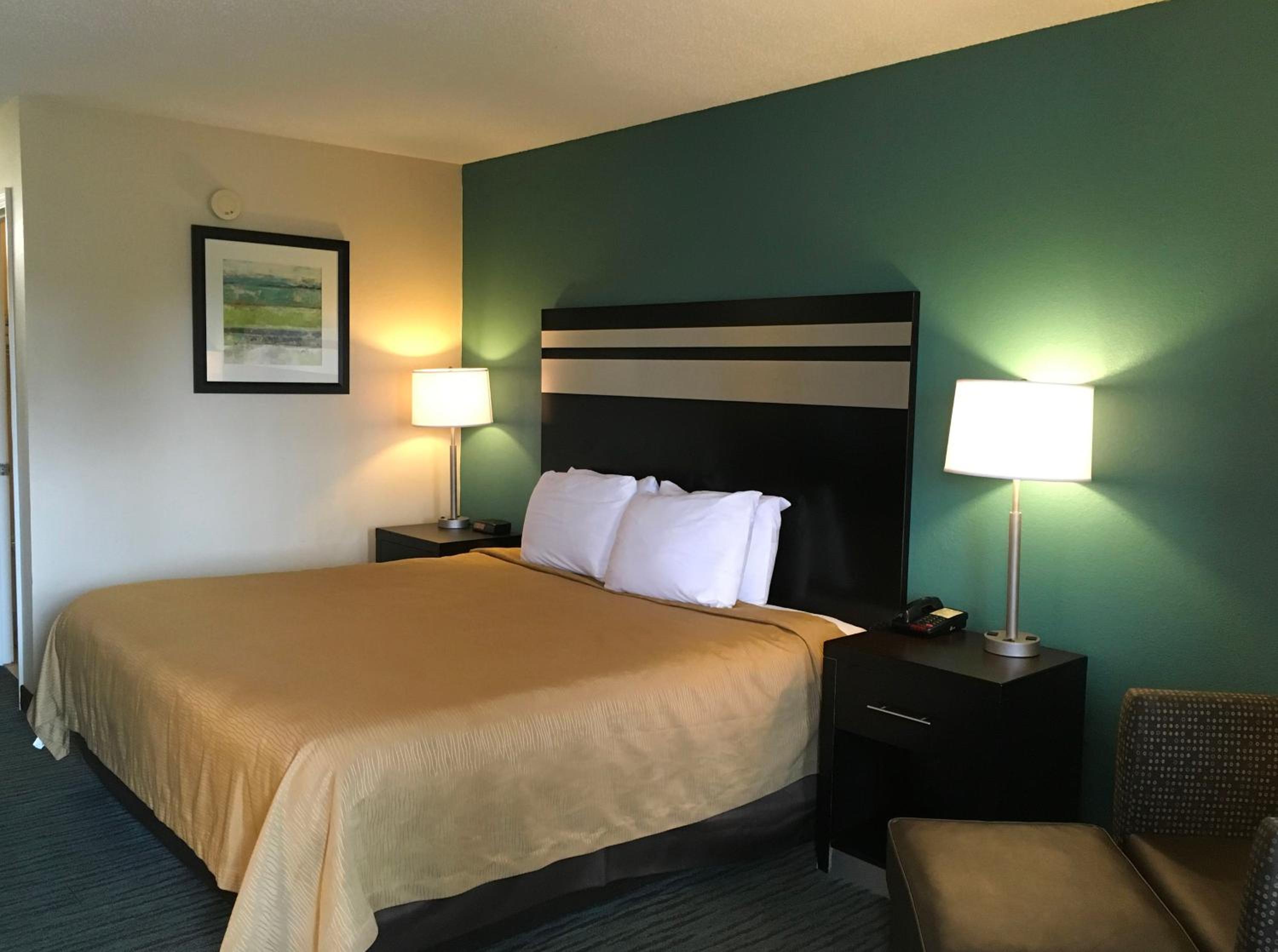 King Room photo 1