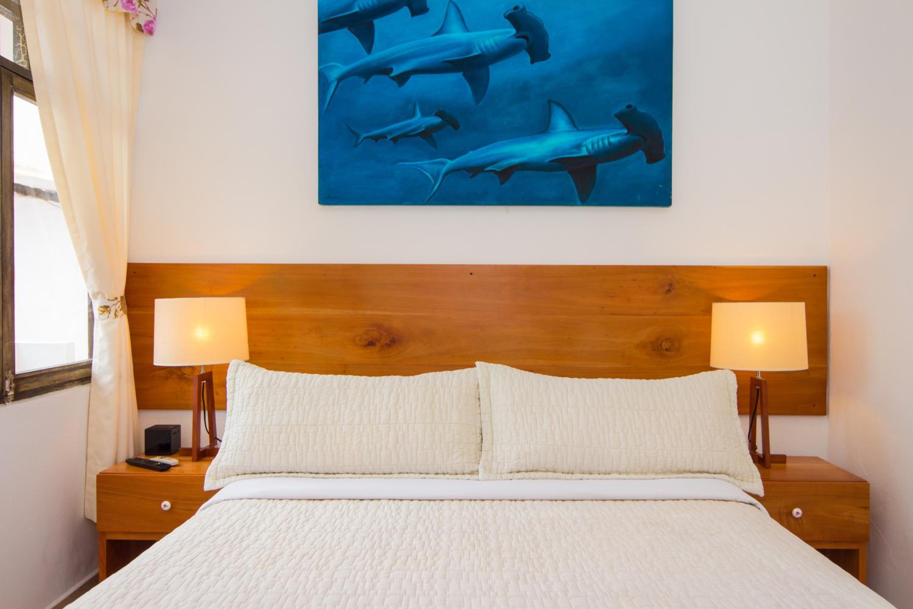 Double or Twin Room photo 1