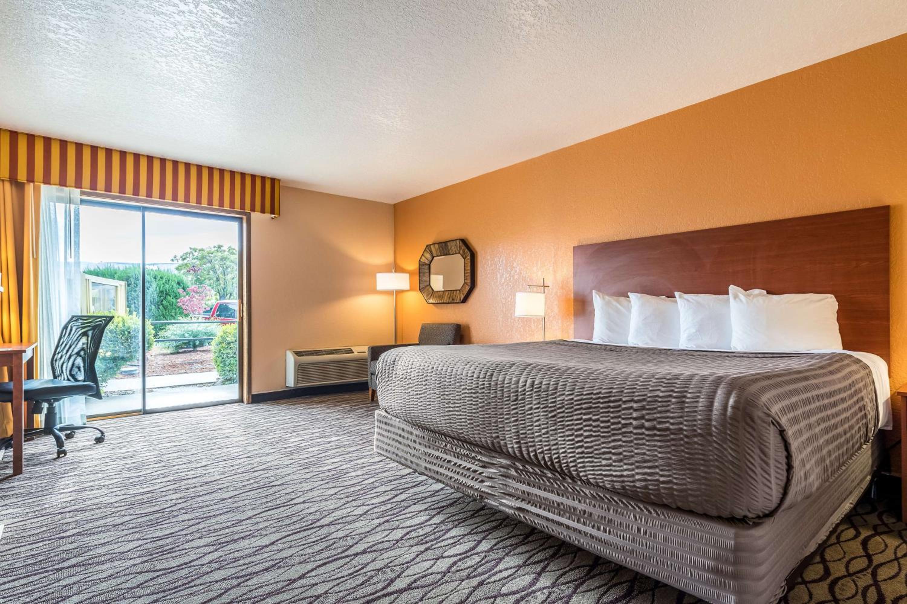 King Room with Pool View photo 1