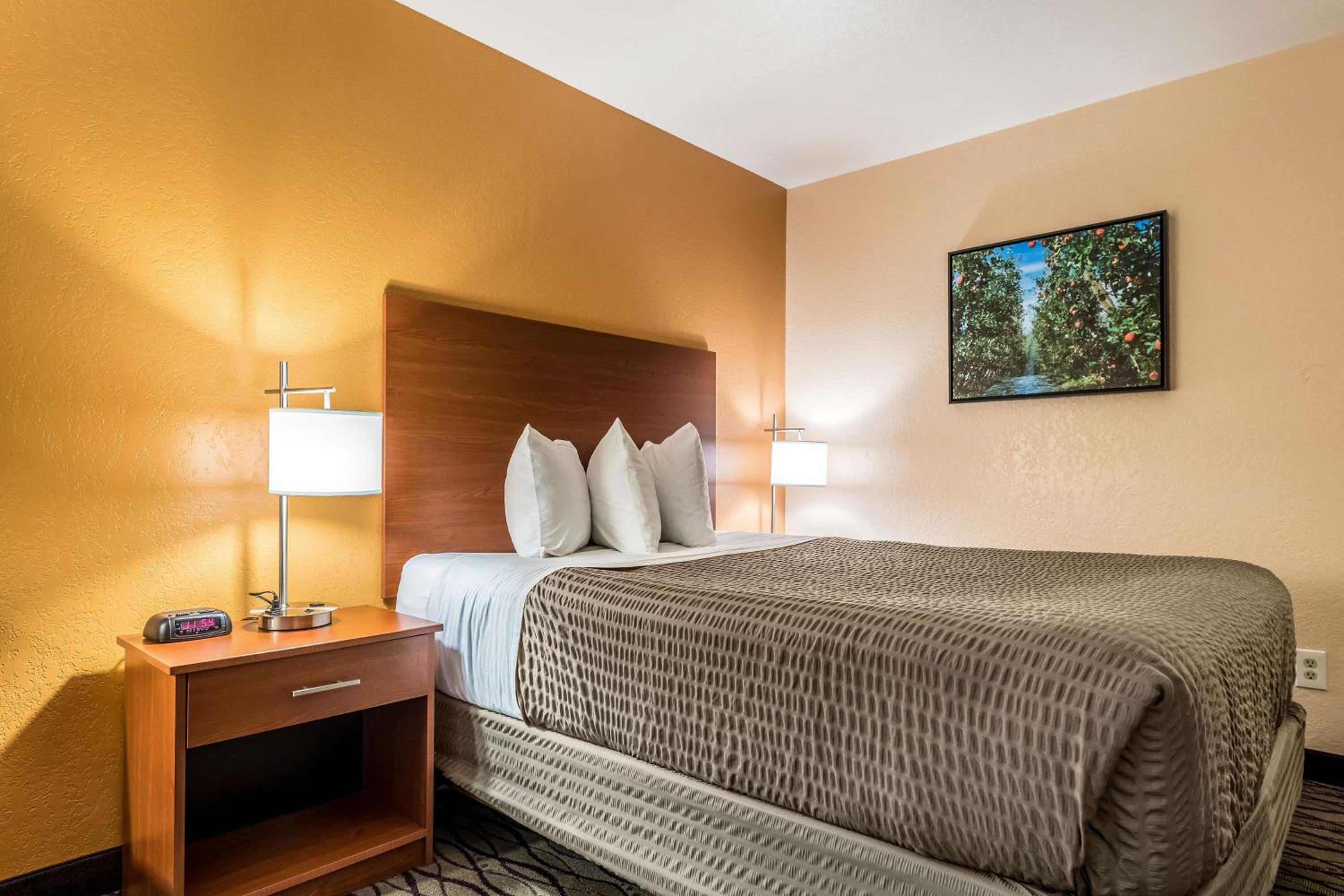 Queen Room with Pool View - Non-Smoking