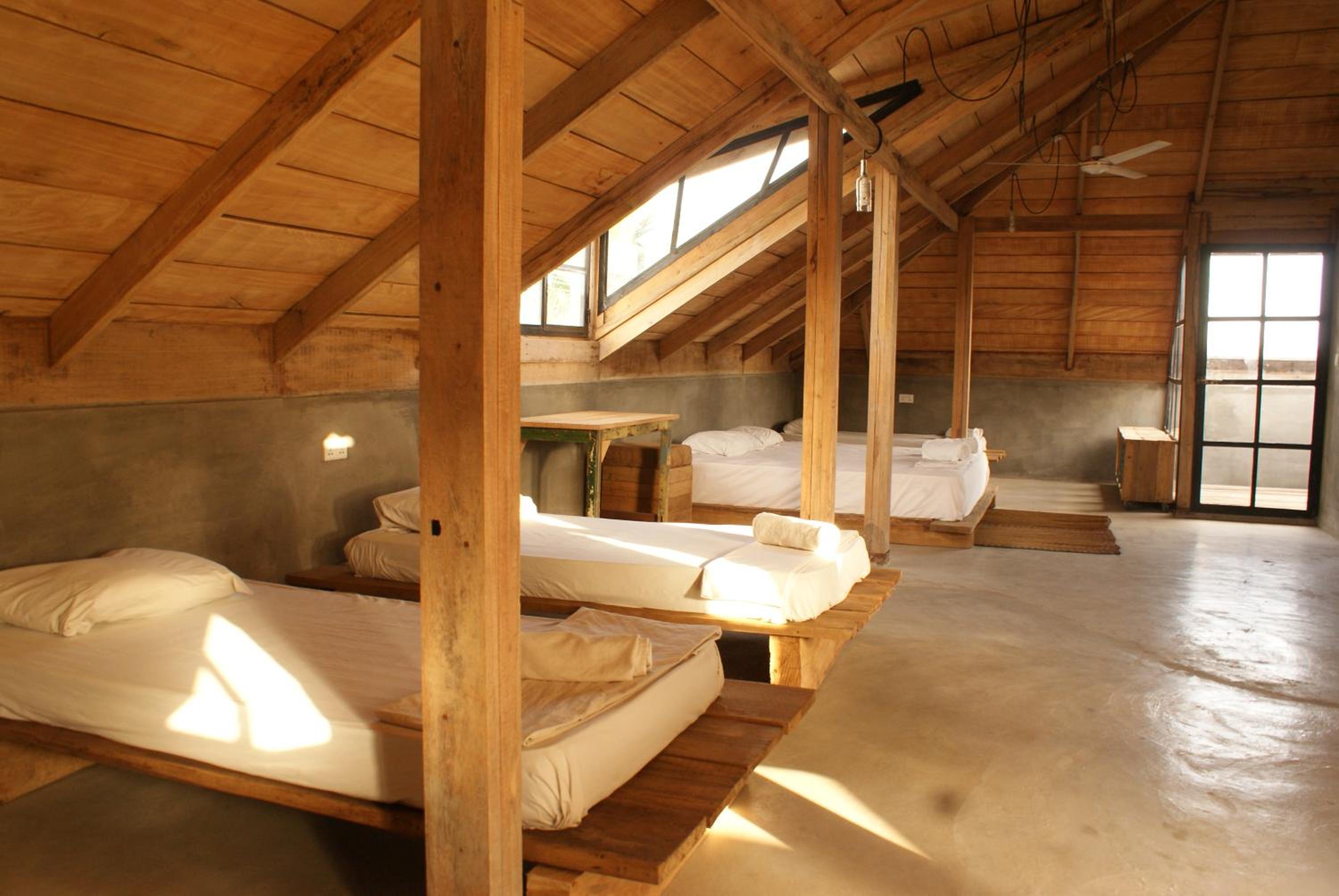Single Bed in Female Dormitory Room photo 1