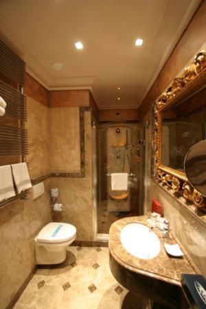 Deluxe Double or Twin Room photo 3