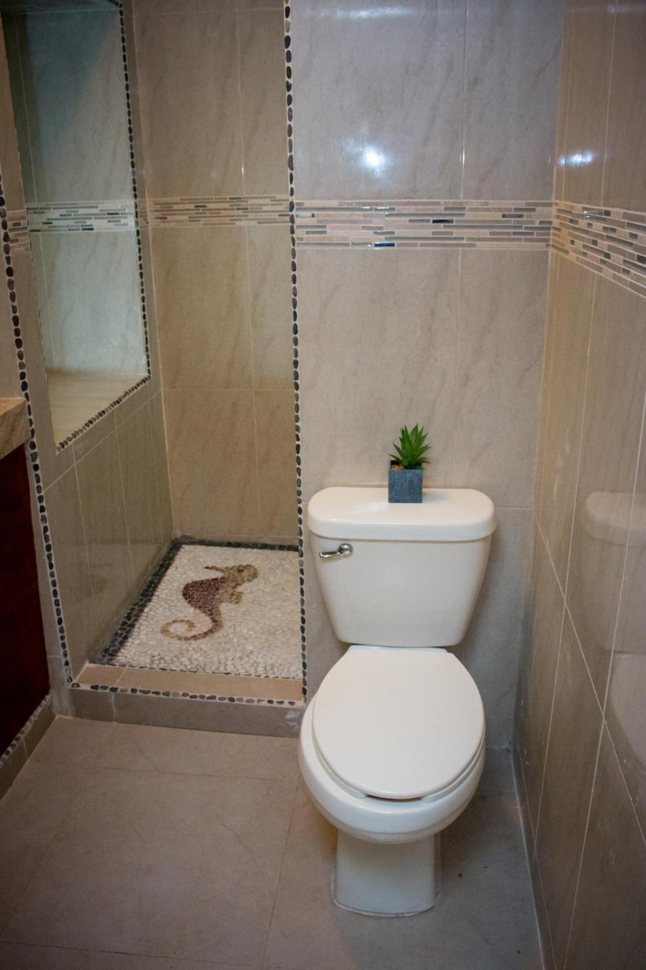 Suite - Photo 5