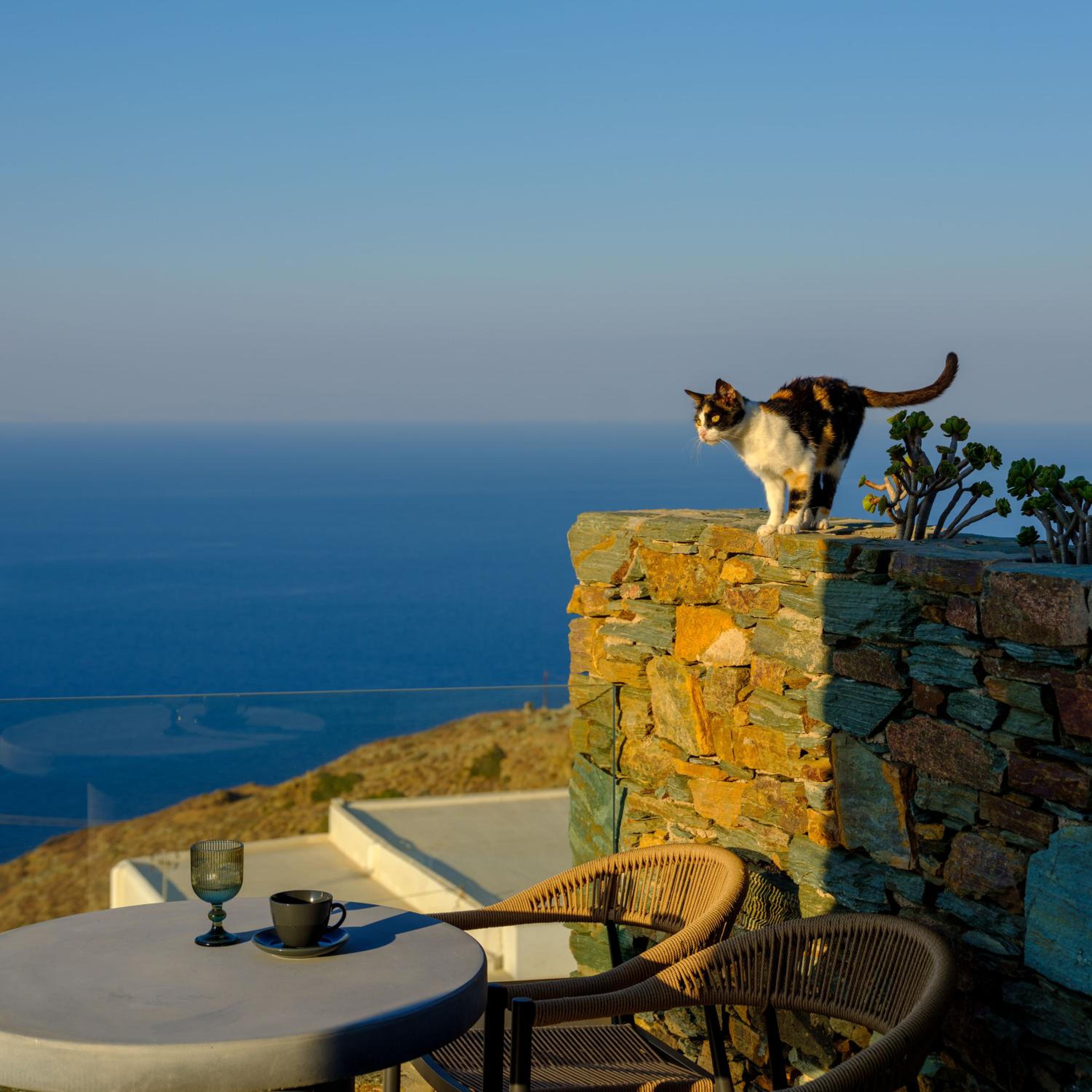 Queen Suite with Sea View photo 1