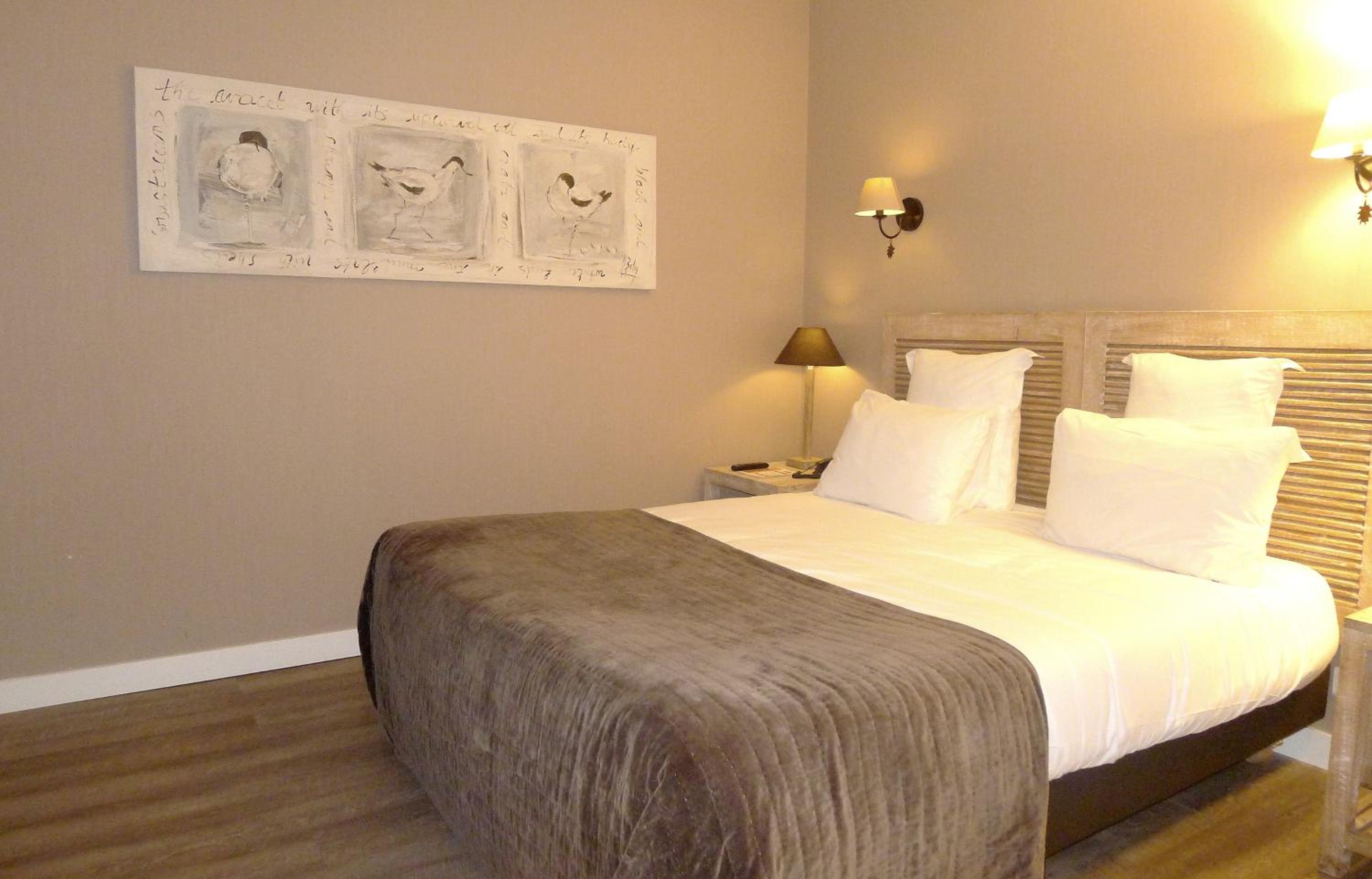 Suite - Photo 4