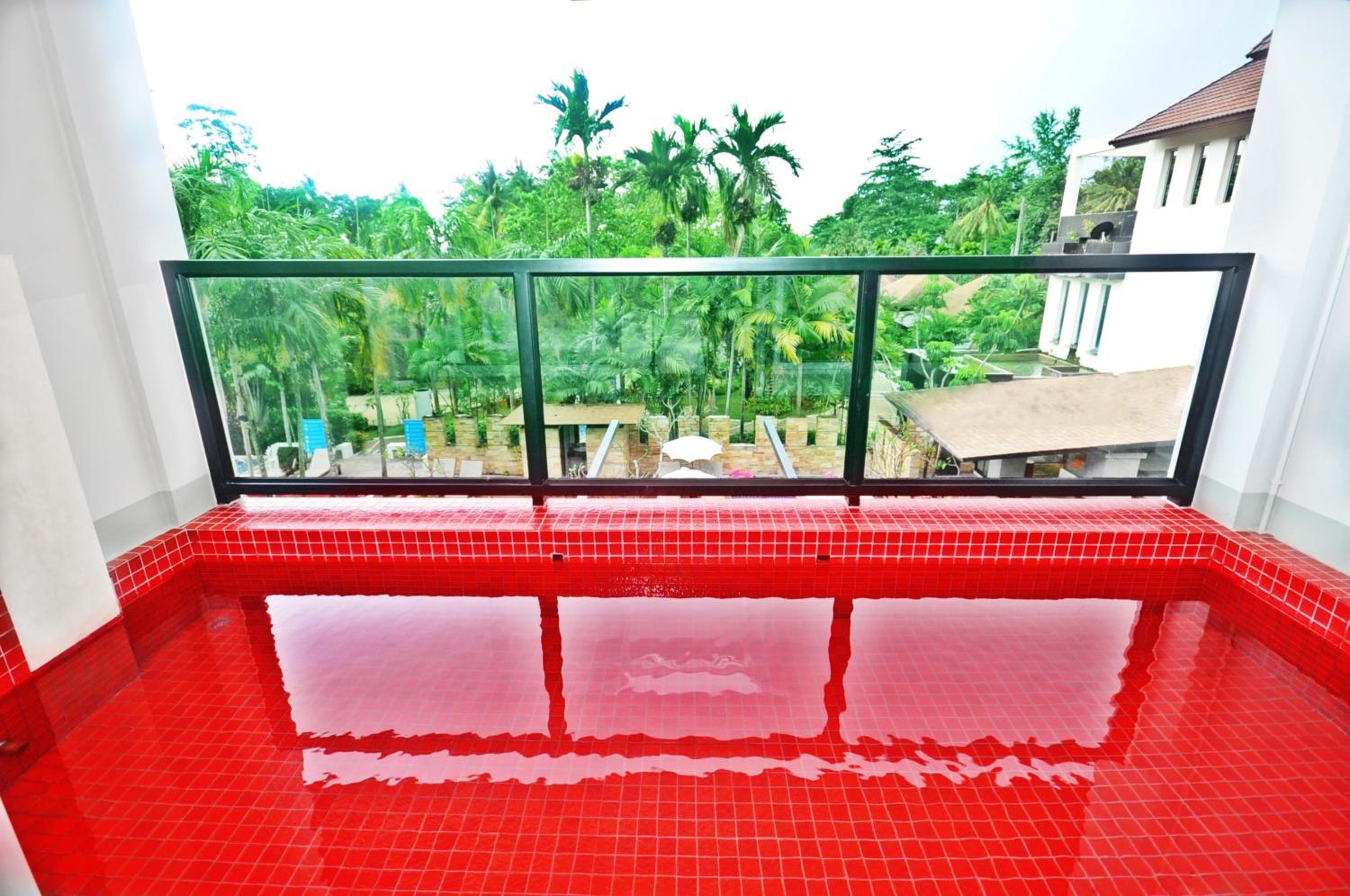  Family Plunge Pool - Photo 4