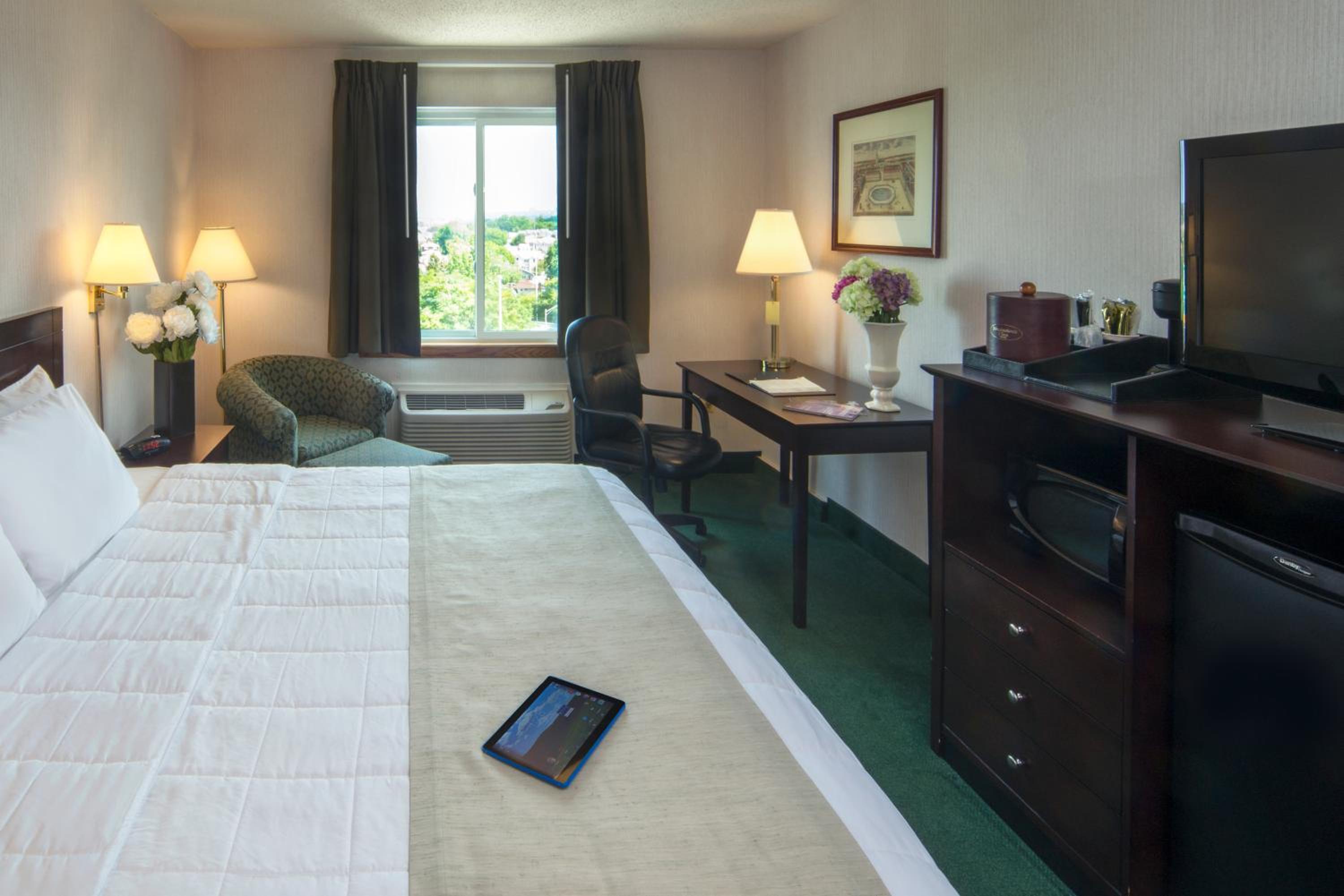 King Room - Non-Smoking - Photo 4