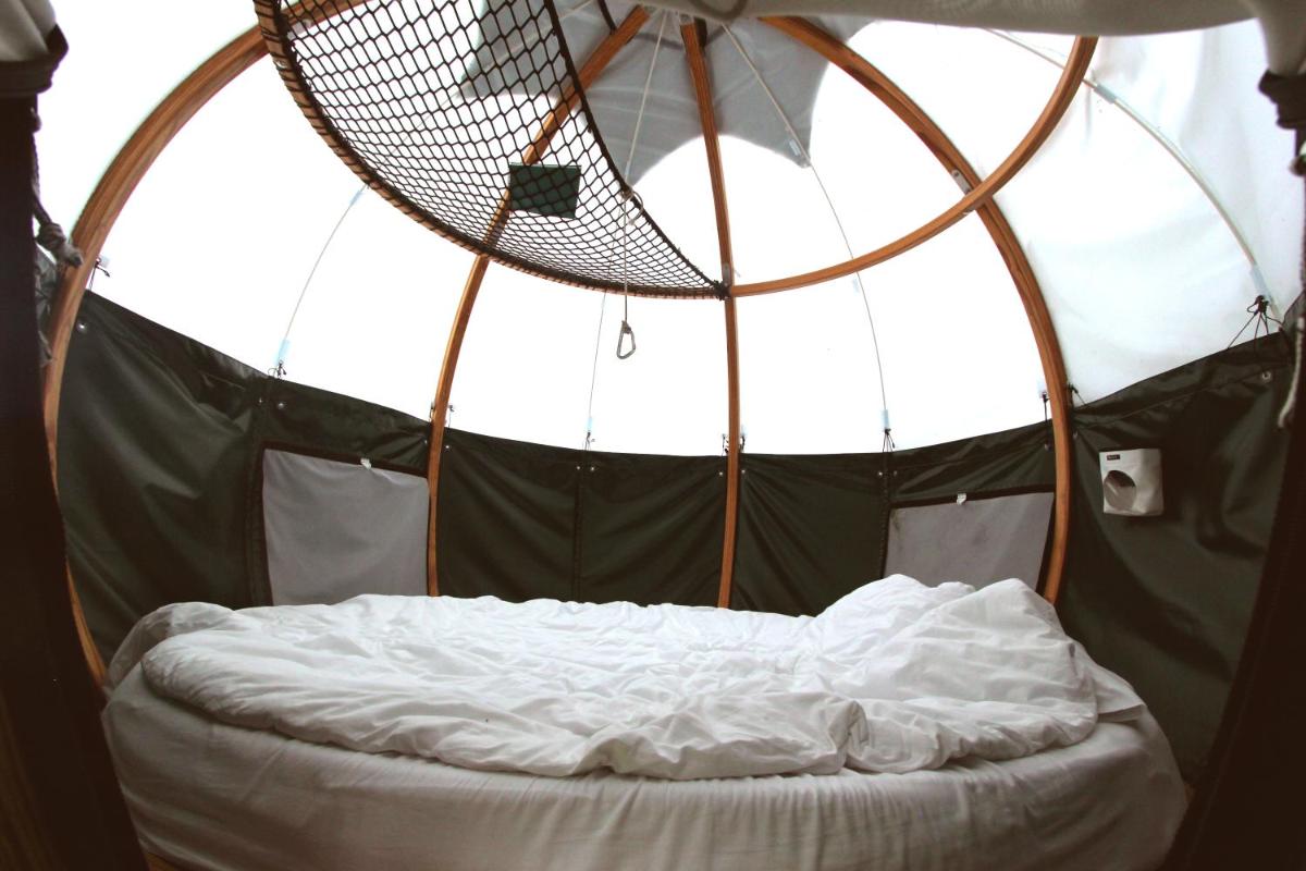 Bubble Double Room photo 1