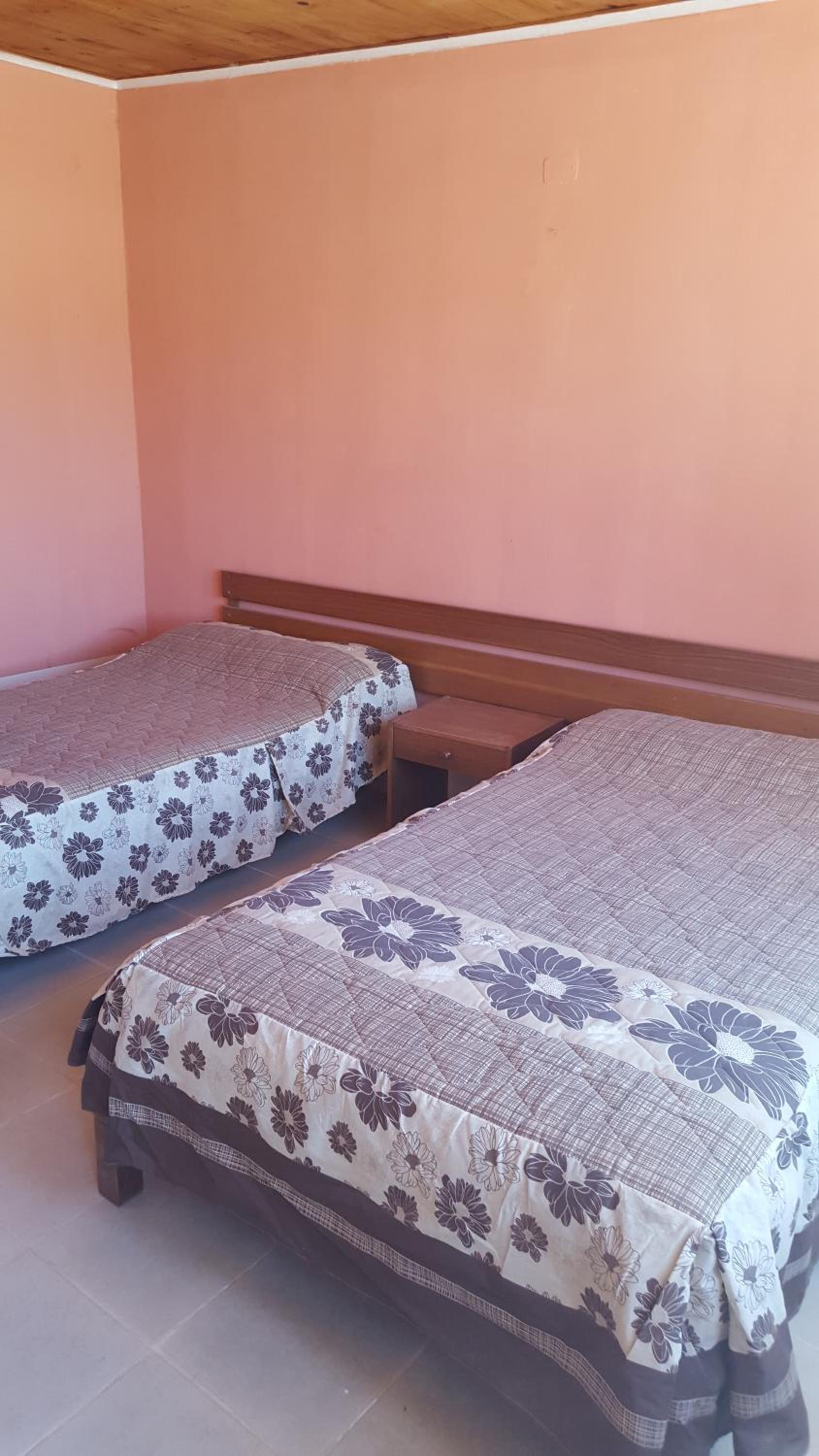 Twin Room photo 1
