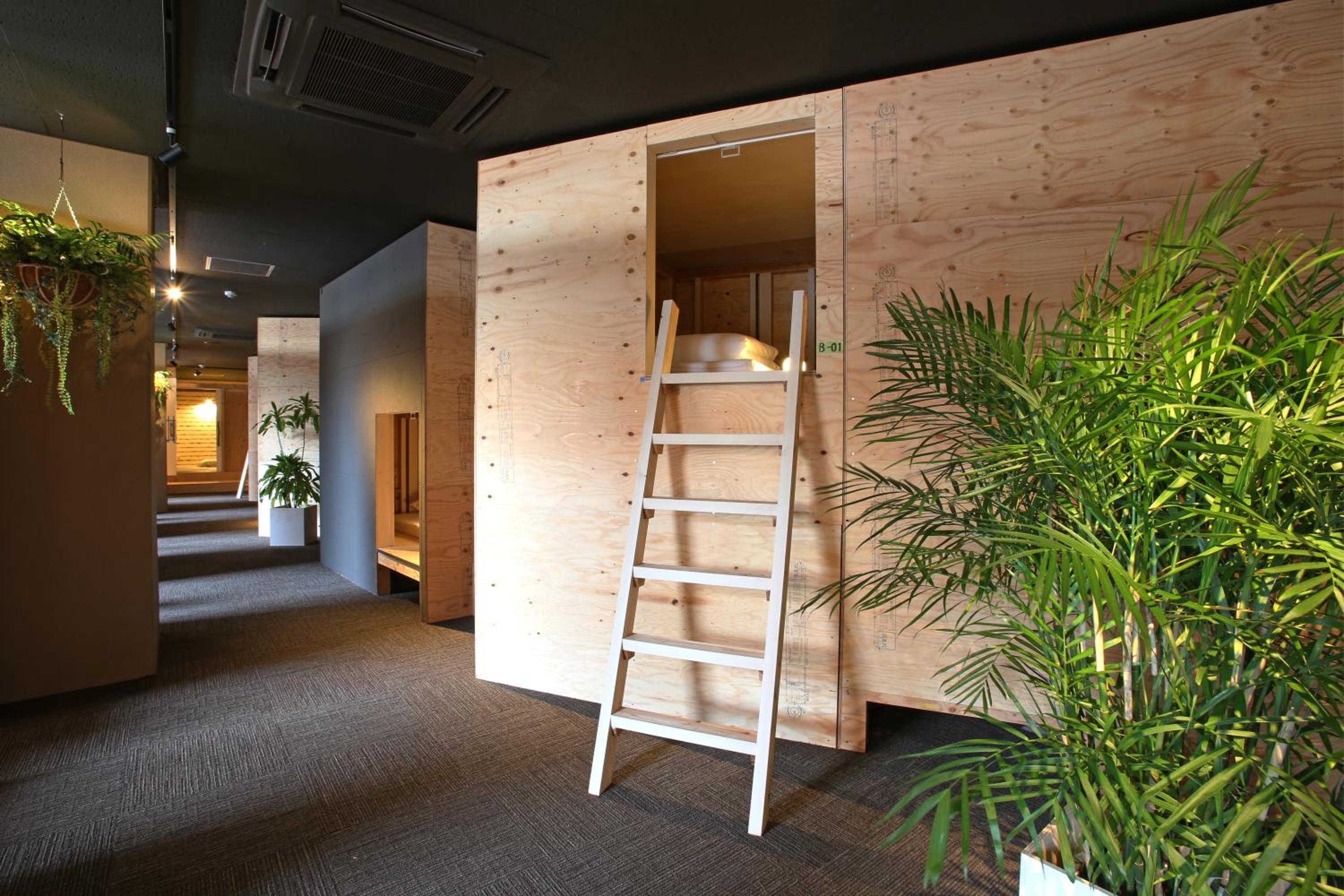 【Women Only】Bunk Room photo 1
