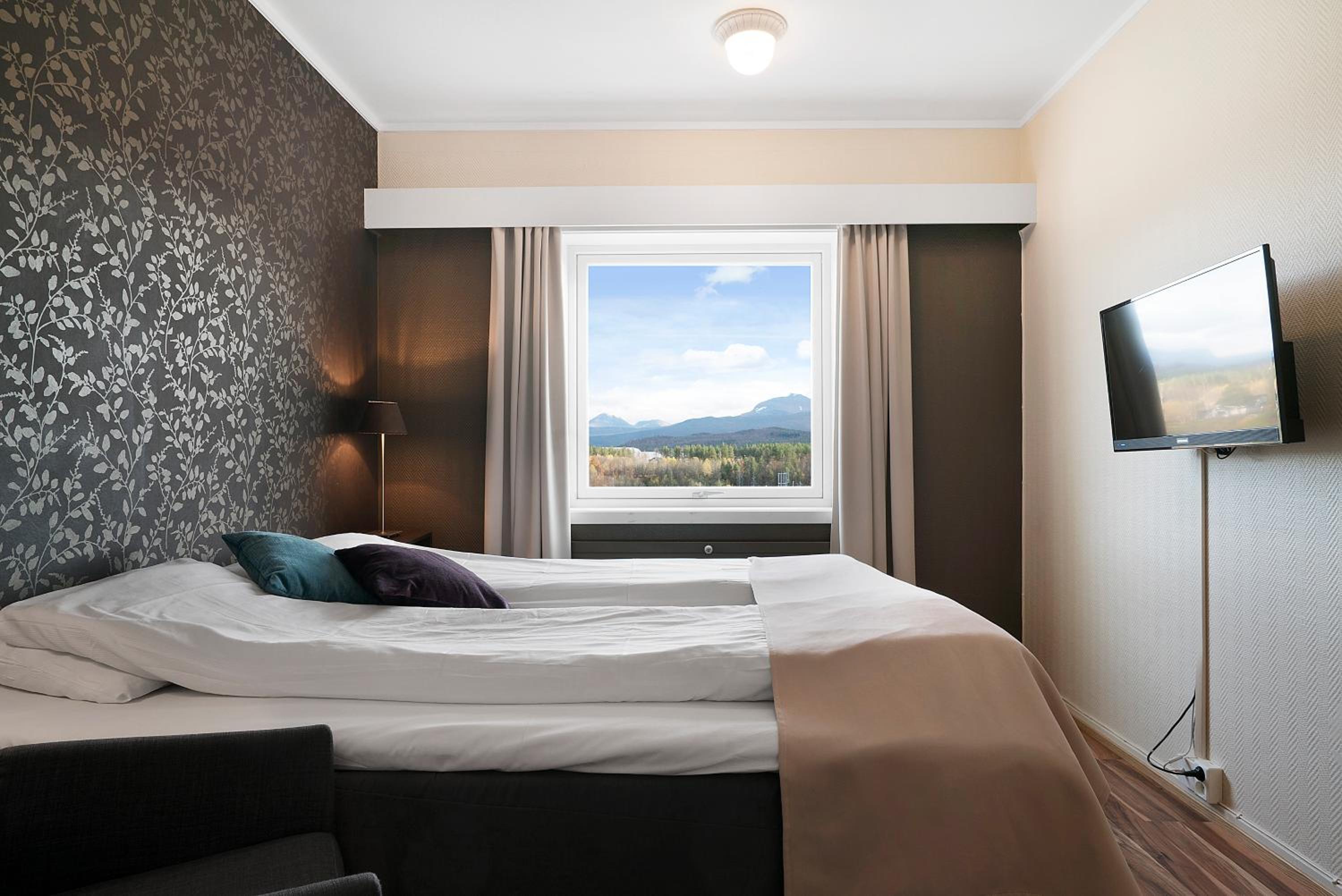 Standard Double or Twin Room photo 1
