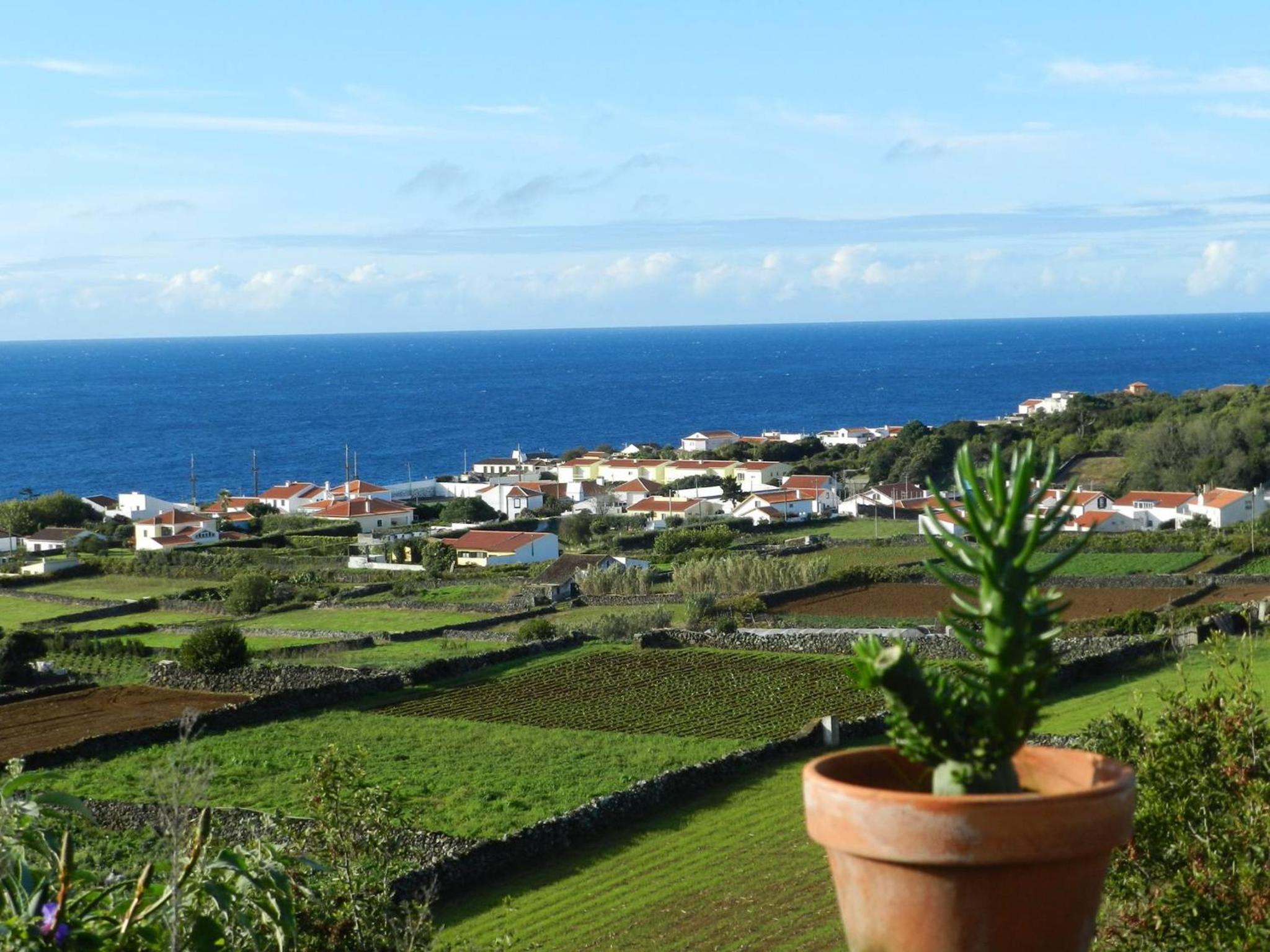 Holiday Home with Sea View photo 3