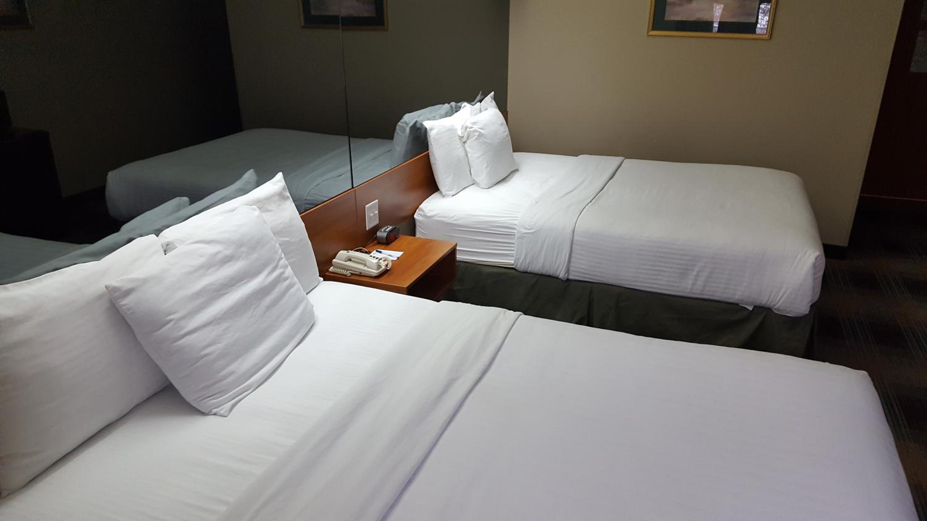 Queen Room with Two Queen Beds - Disability Access/Non-Smoking - Photo 8