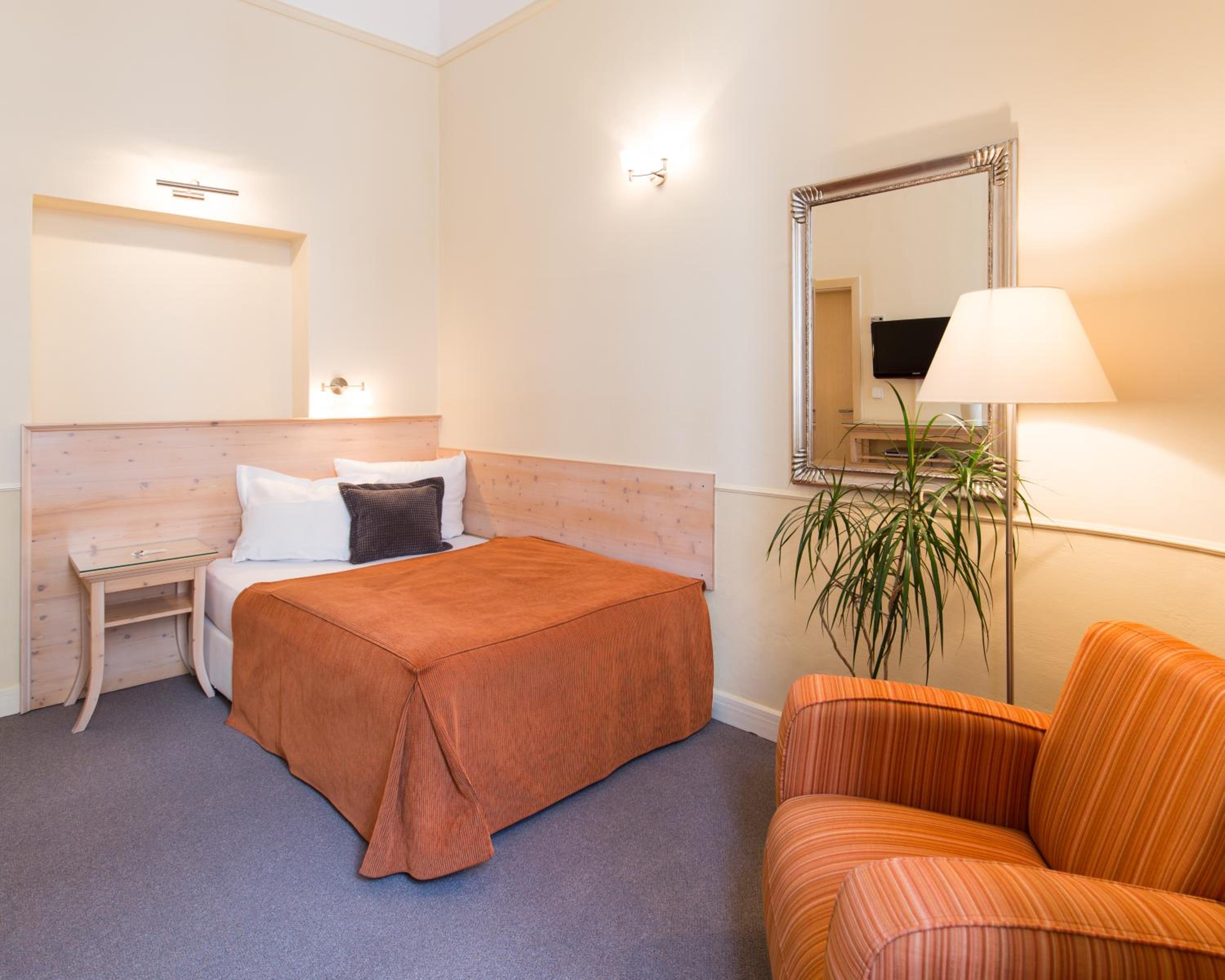 Superior Single Room