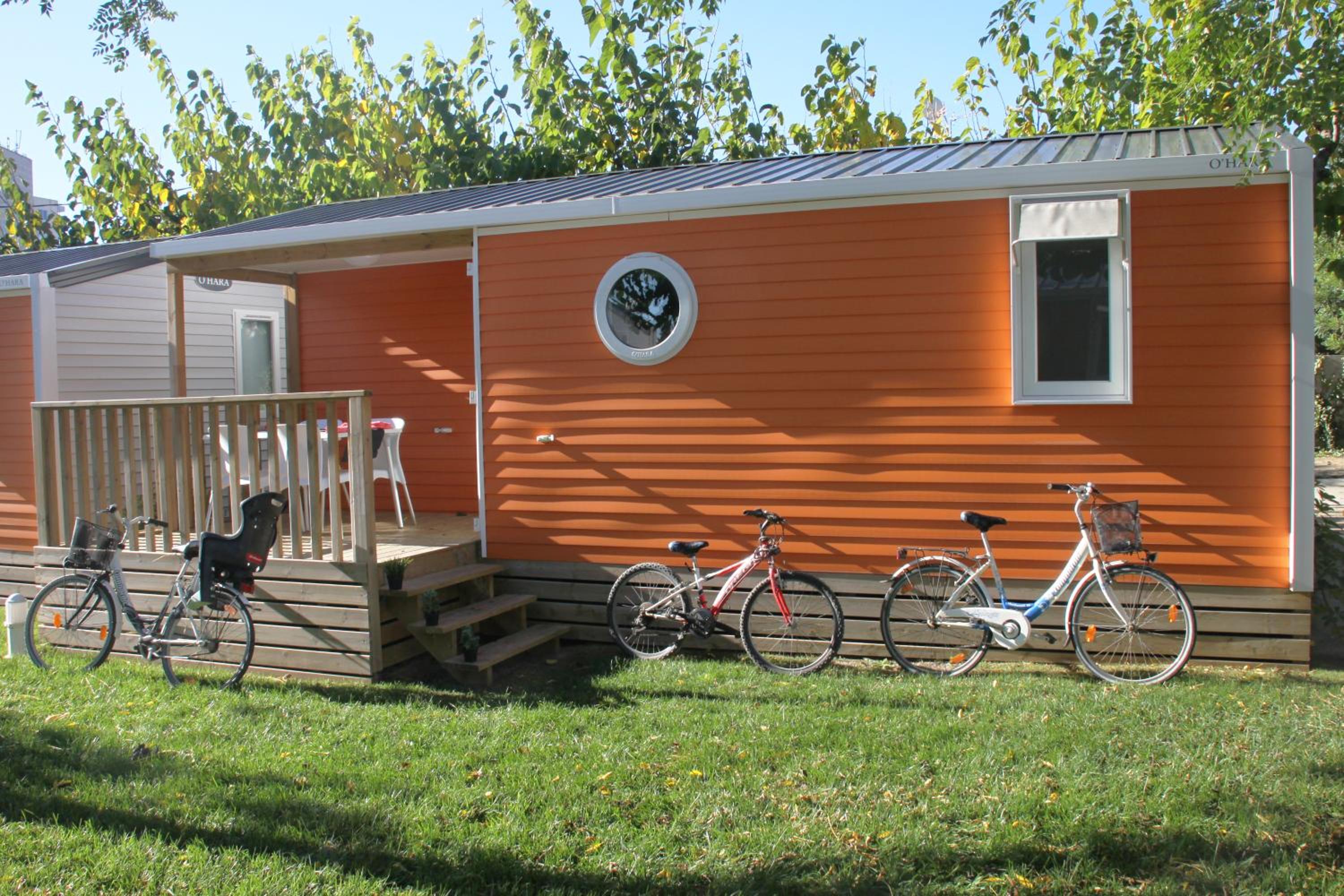 Mobile Home photo 2