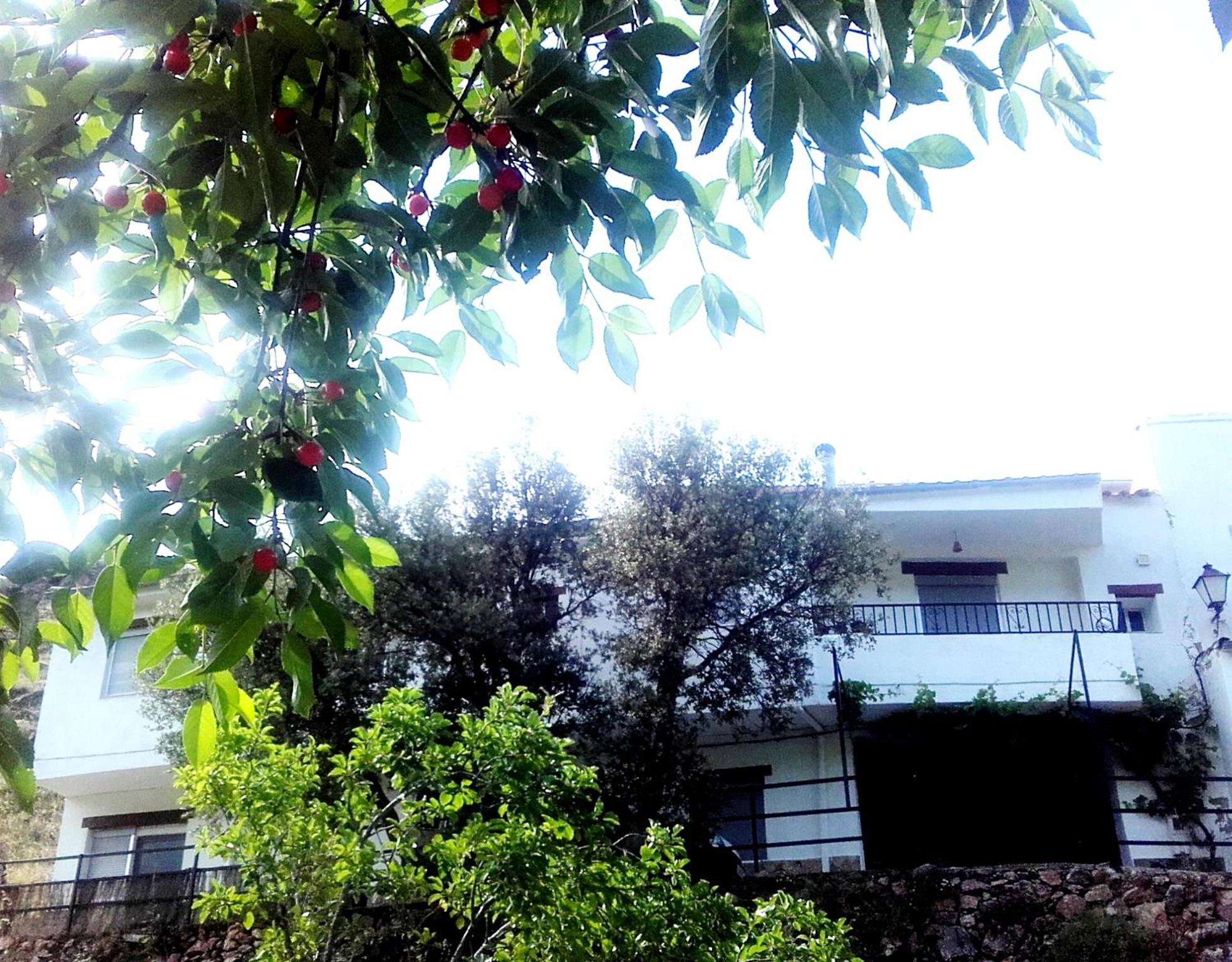 Vacation Home photo 2