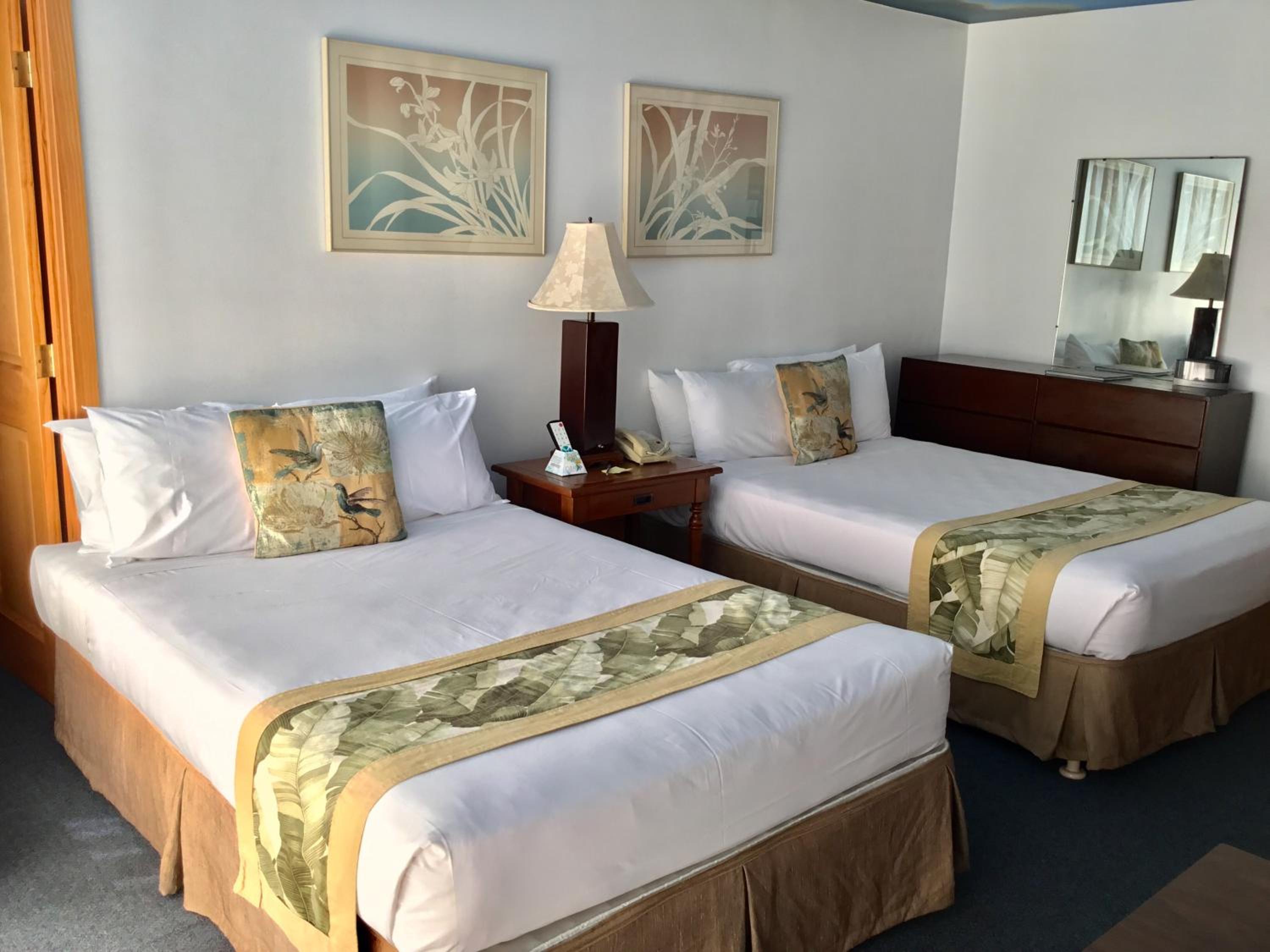 One-Bedroom Quad - Non Refundable