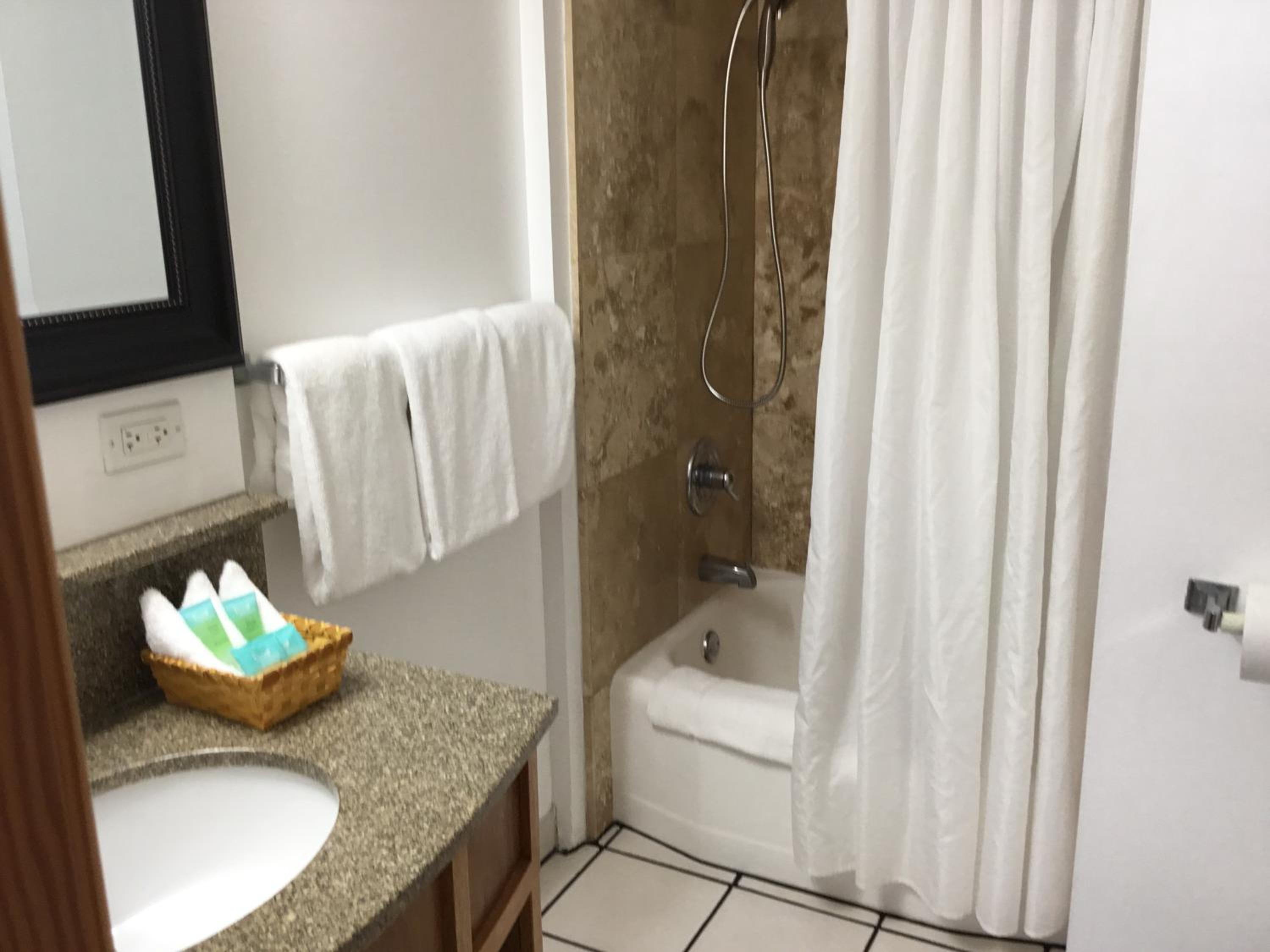 One-Bedroom King with Deluxe Amenities photo 3