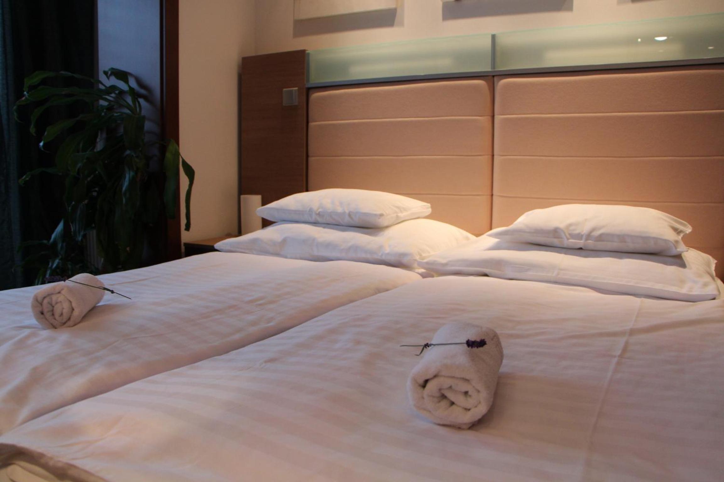 Double or Twin Room with Mountain View photo 1