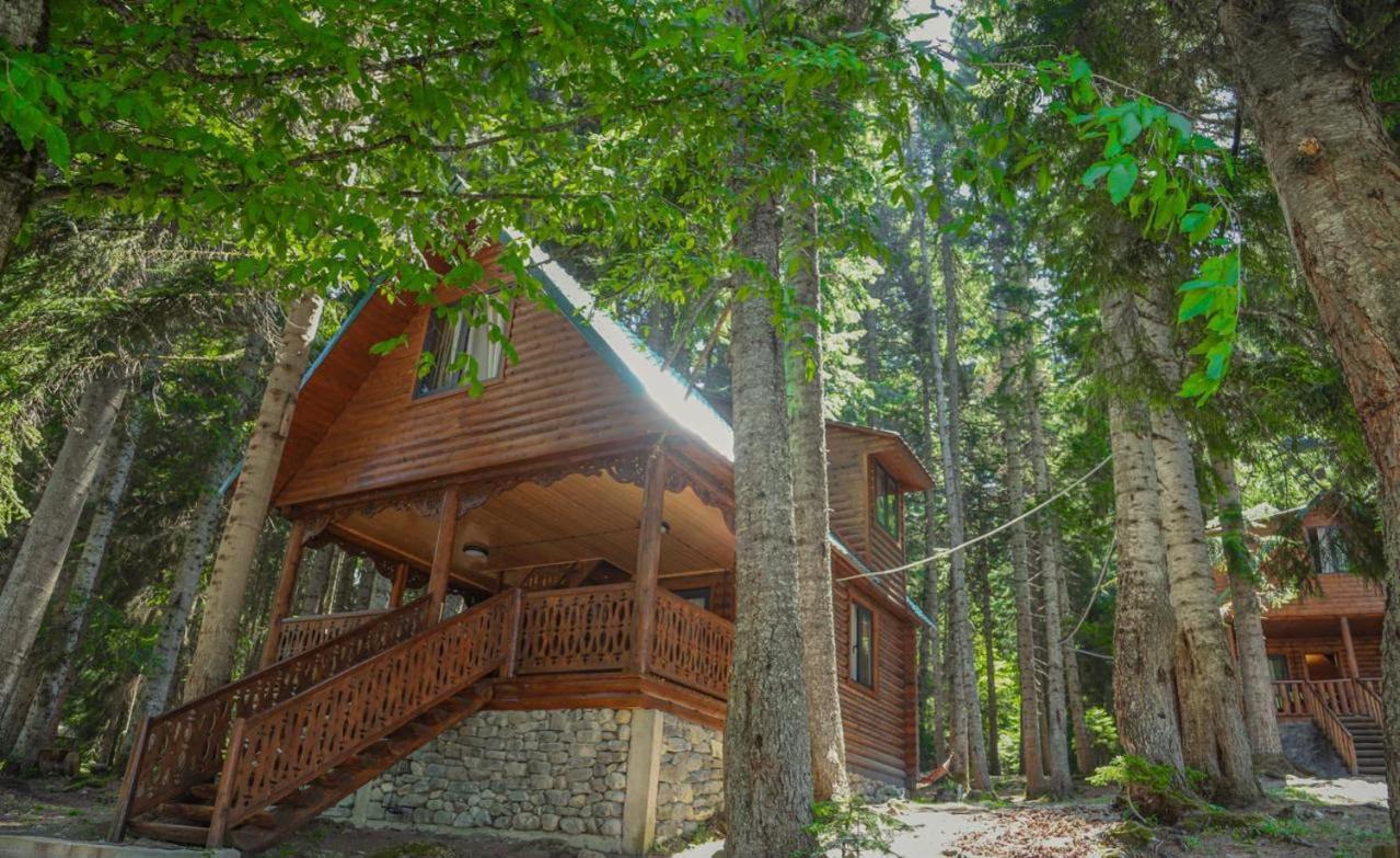Superior Villa photo 3