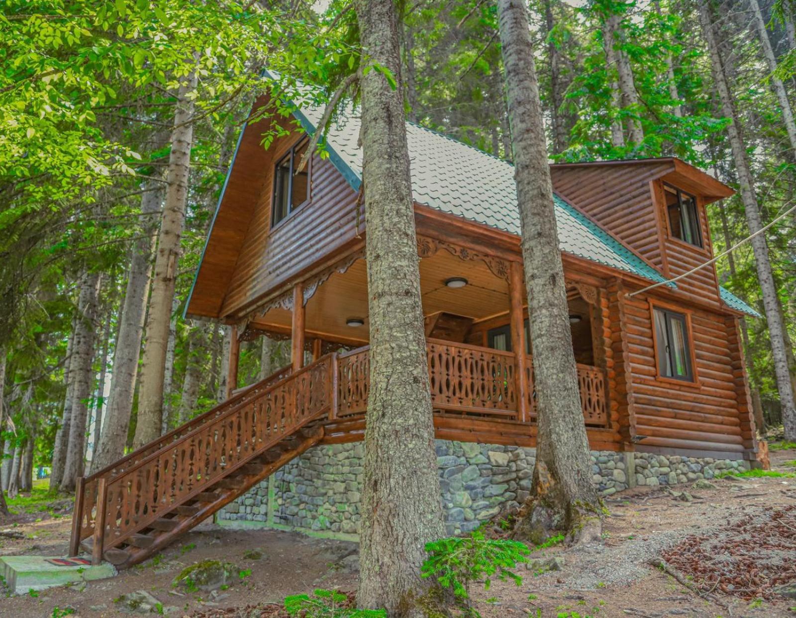 Superior Villa photo 1