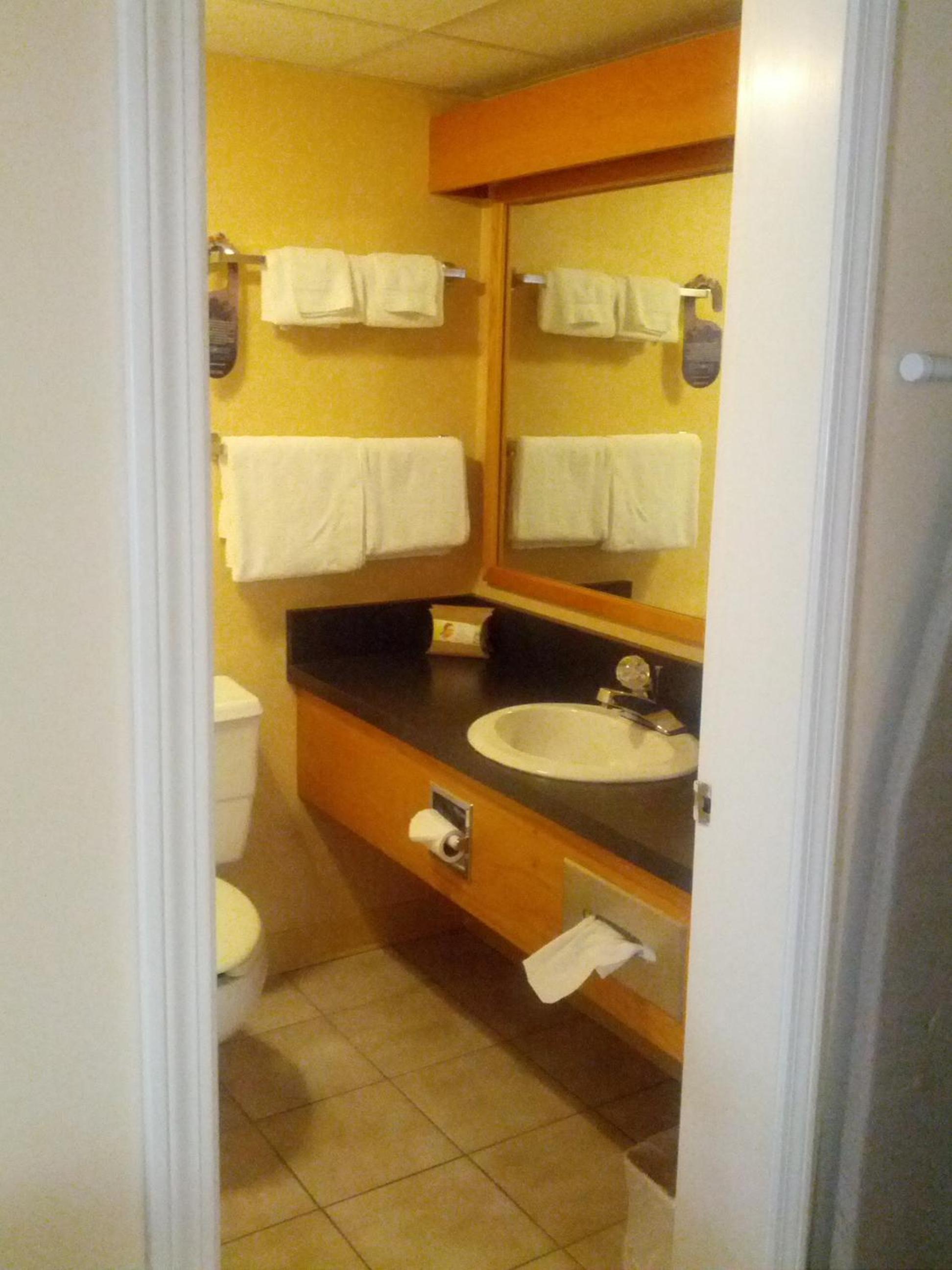 Mini Suite photo 2
