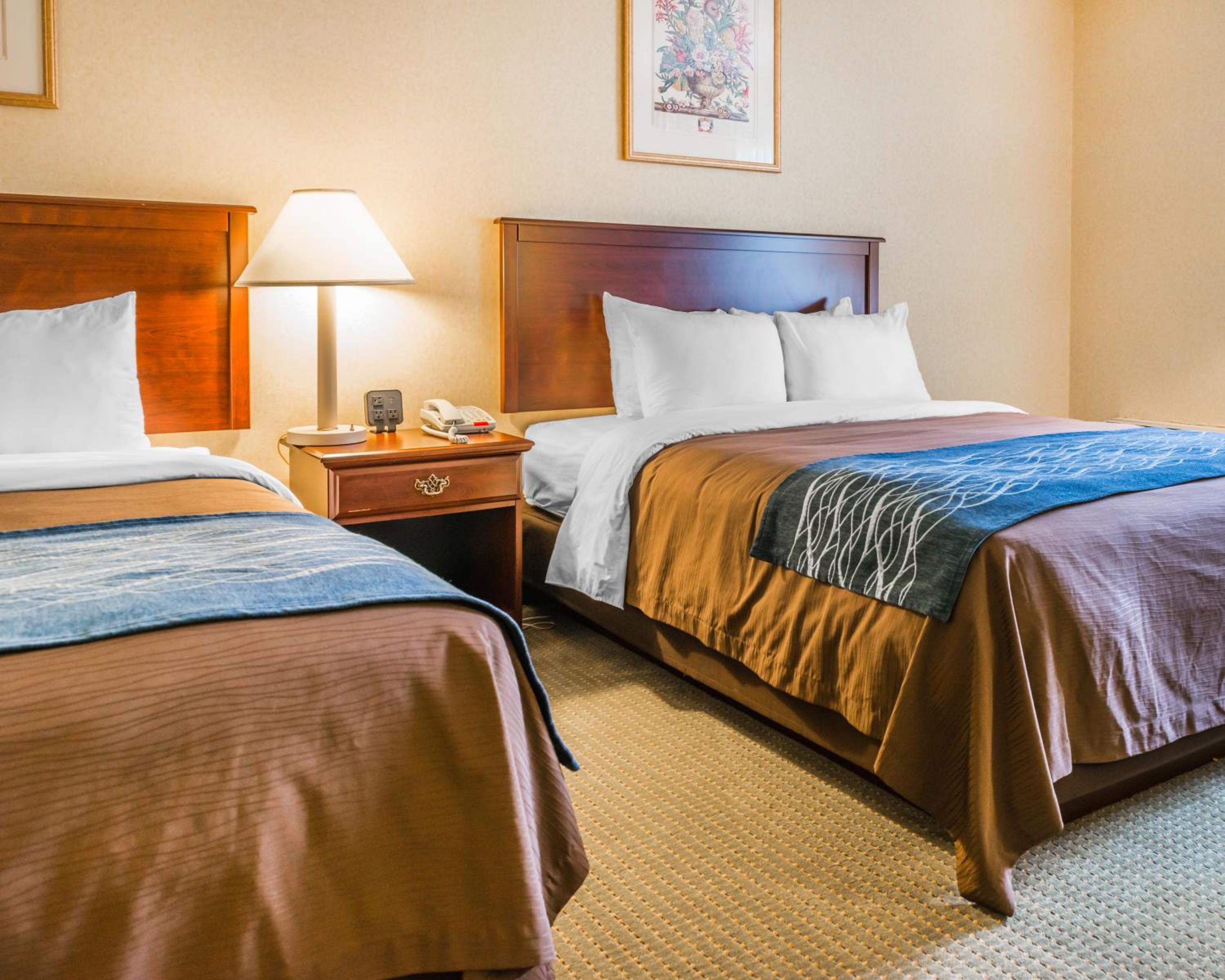 Queen Room with Two Queen Beds - Non-Smoking photo 3