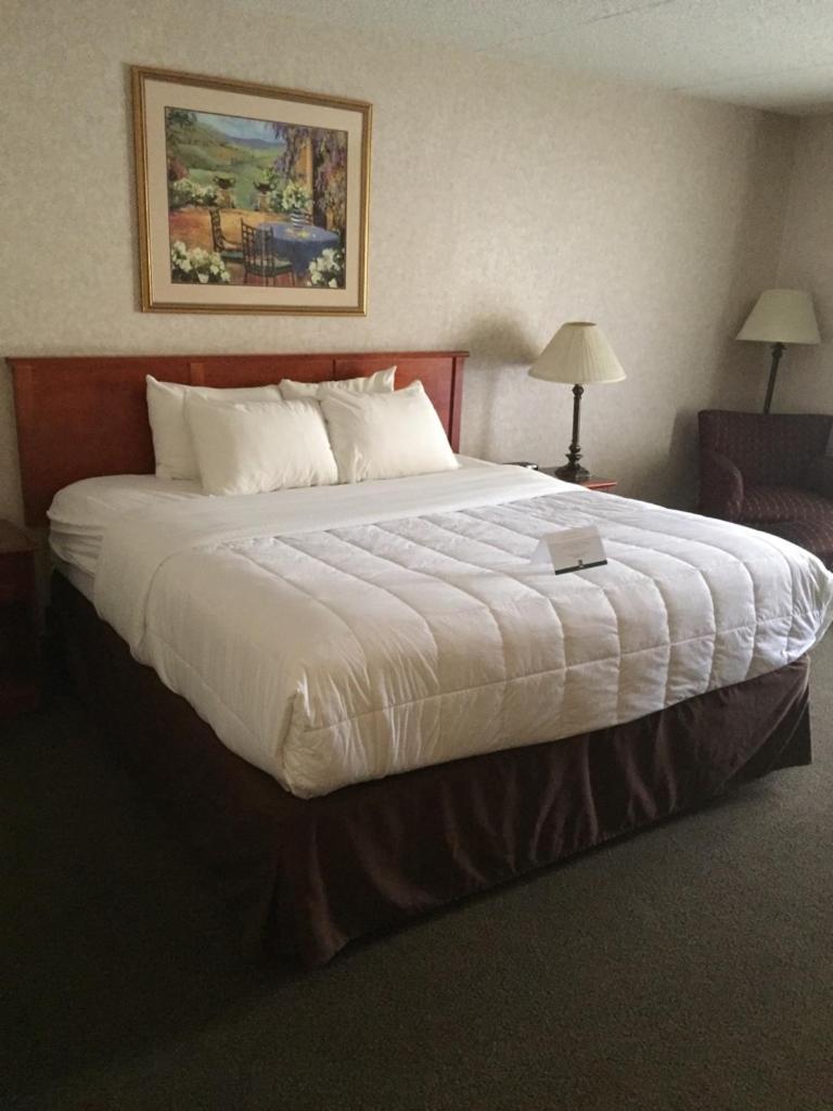 King Room with One King Bed photo 2