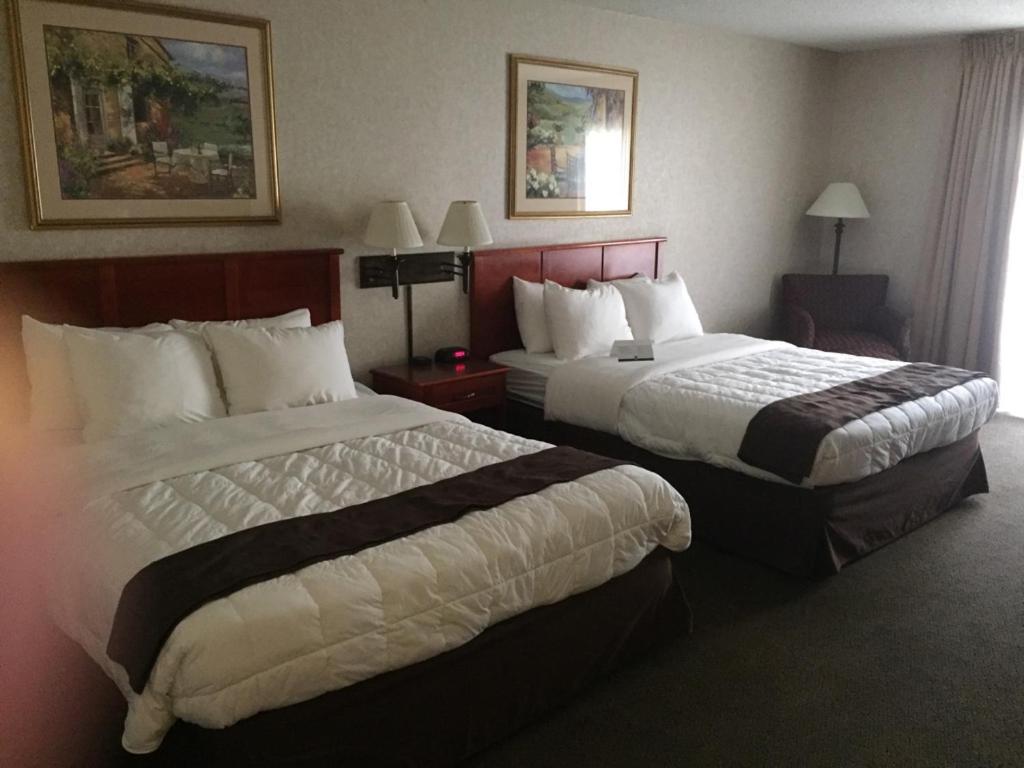 Queen Room with Two Queen Beds photo 3