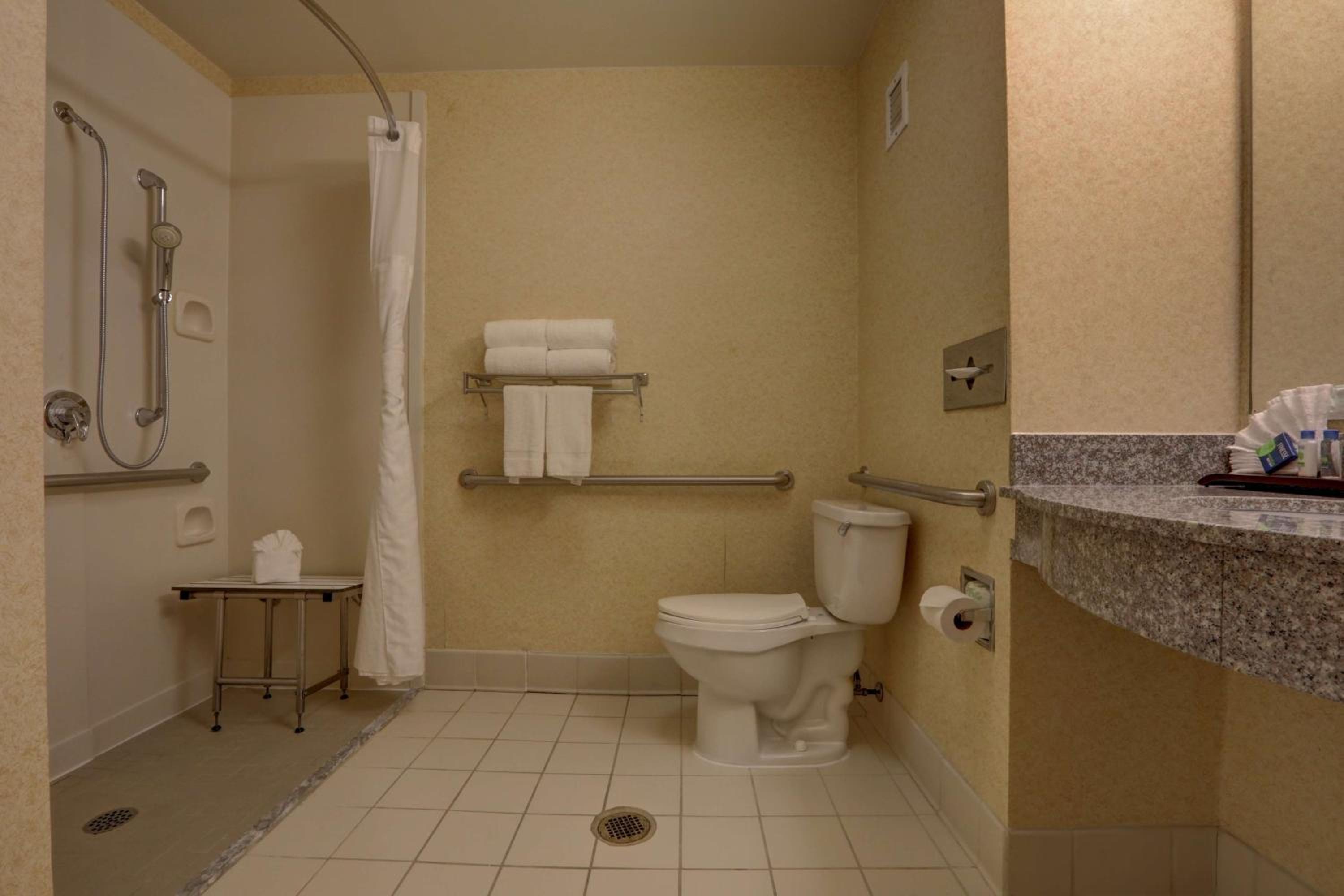 Queen Room with Roll-In Shower - Mobility Access - Photo 4