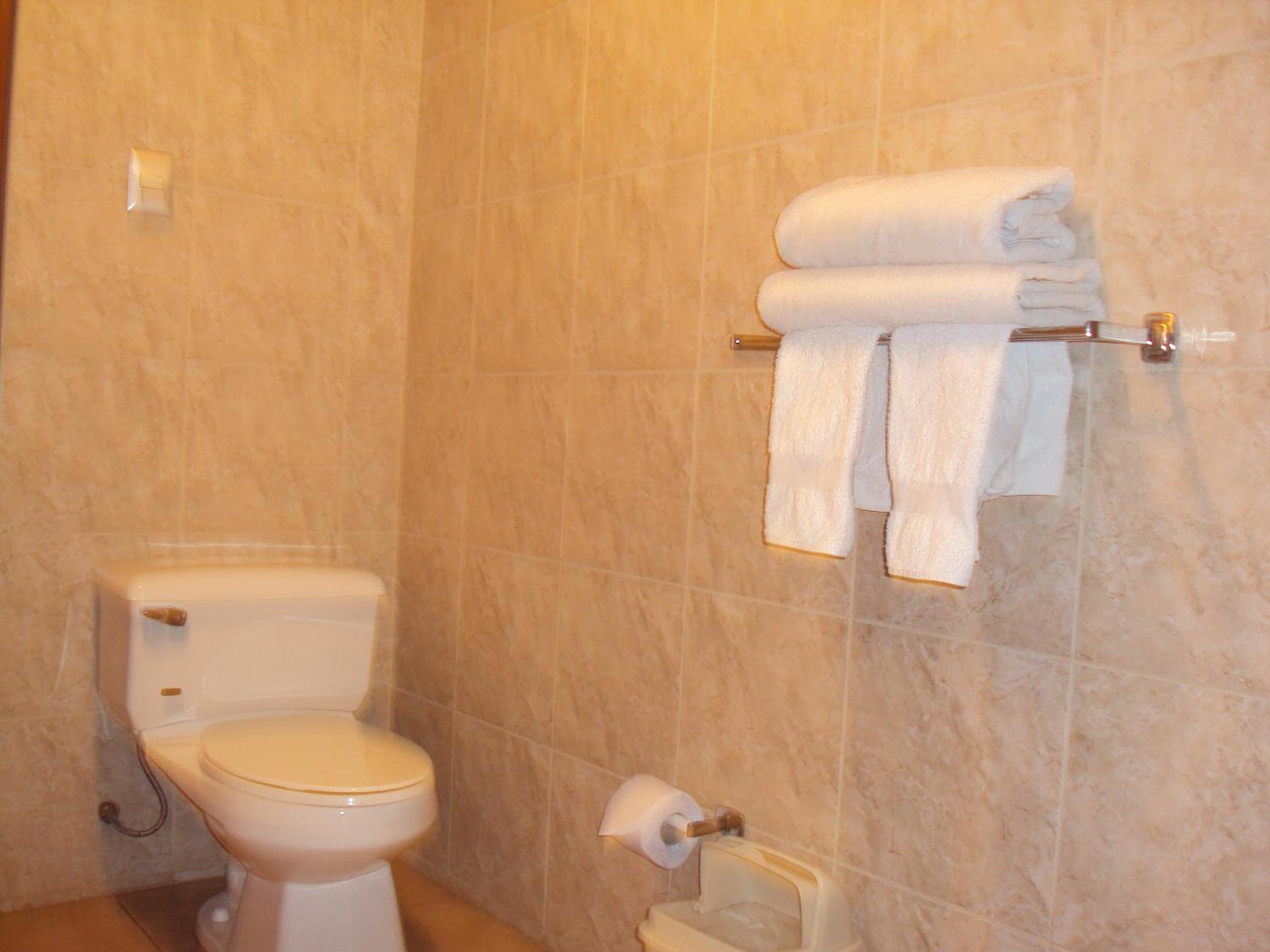 Single Room photo 3