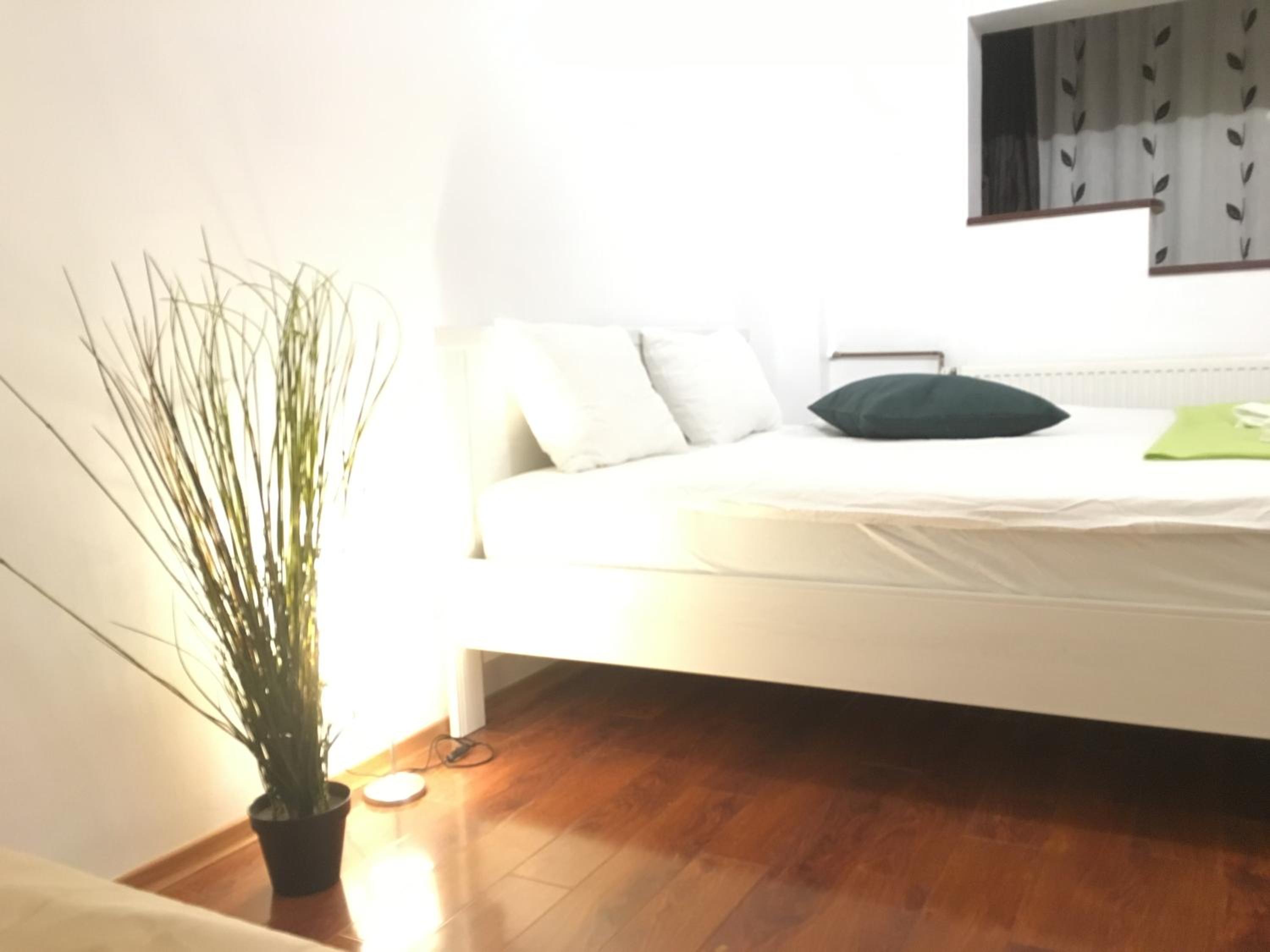 Studio Apartment - Photo 7