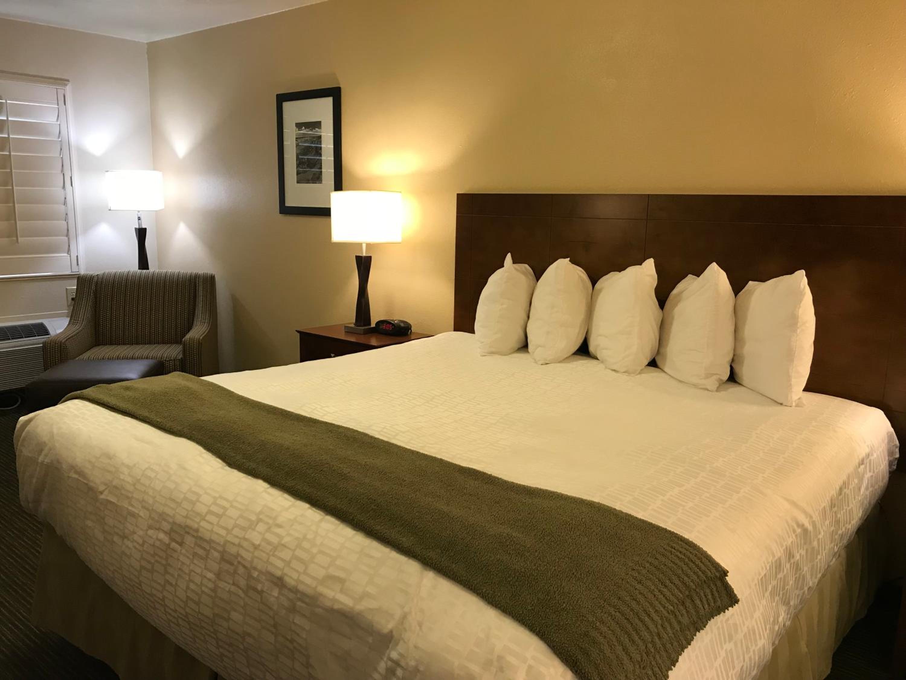 King Room photo 3