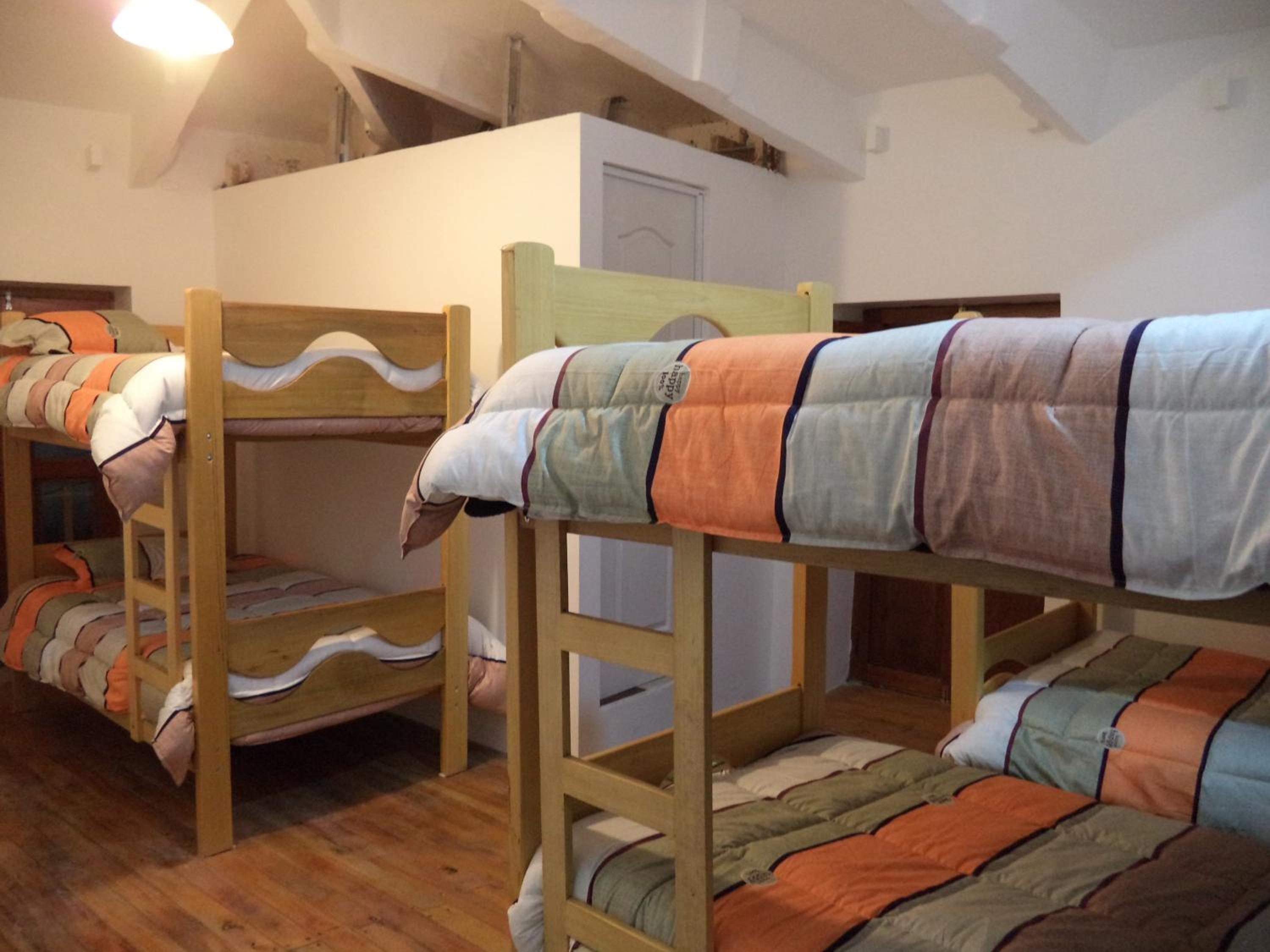 Bunk Bed in Mixed Dormitory Room photo 3