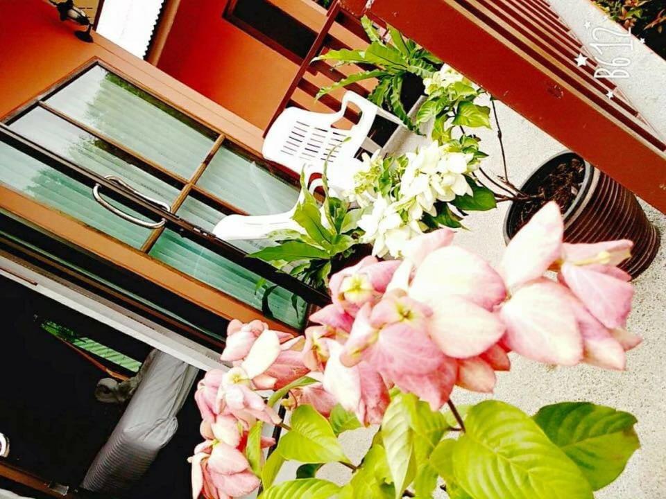 Deluxe Double or Twin Room with Garden View photo 3