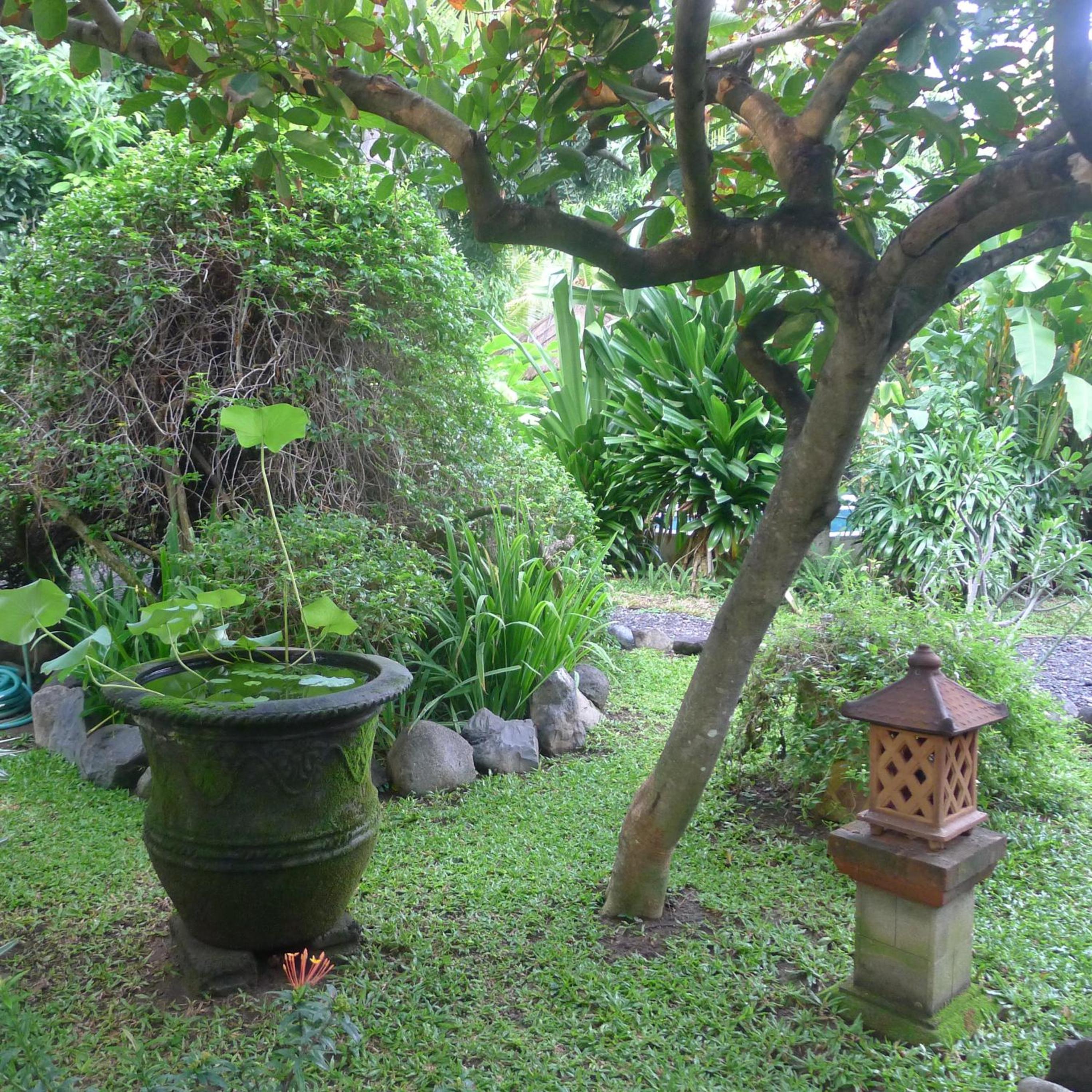 Four Bedroom Private Villa With Pool photo 2