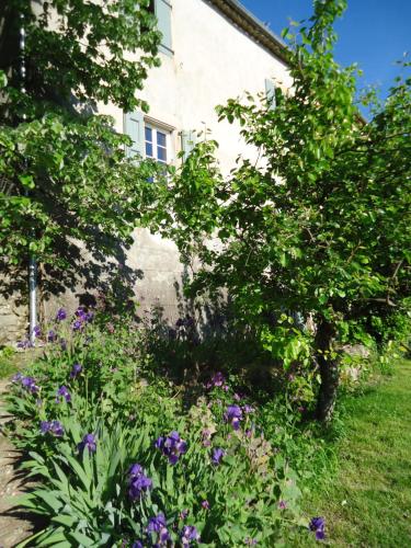 Double Room with Garden View photo 3