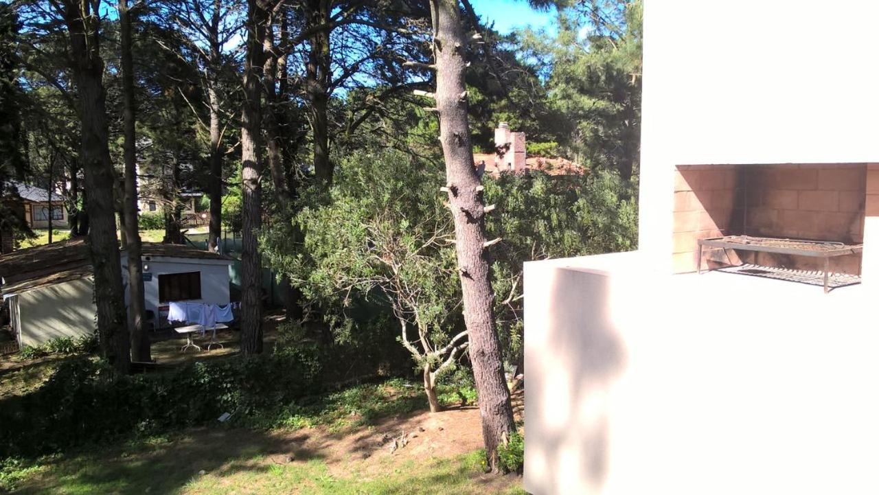 Apartment with Terrace photo 3