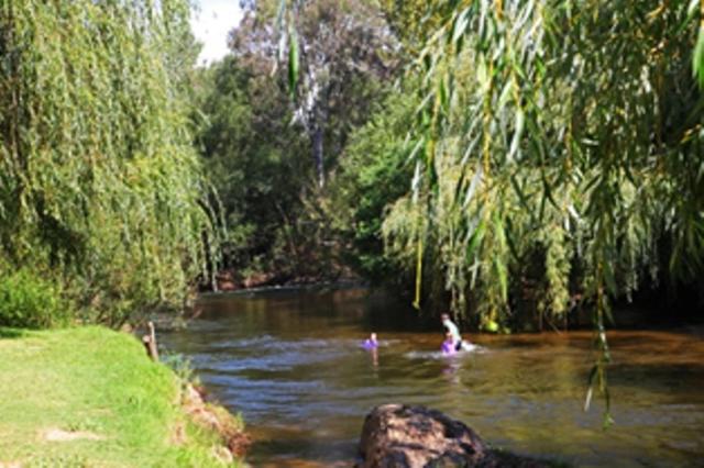 Studio - River Front photo 3