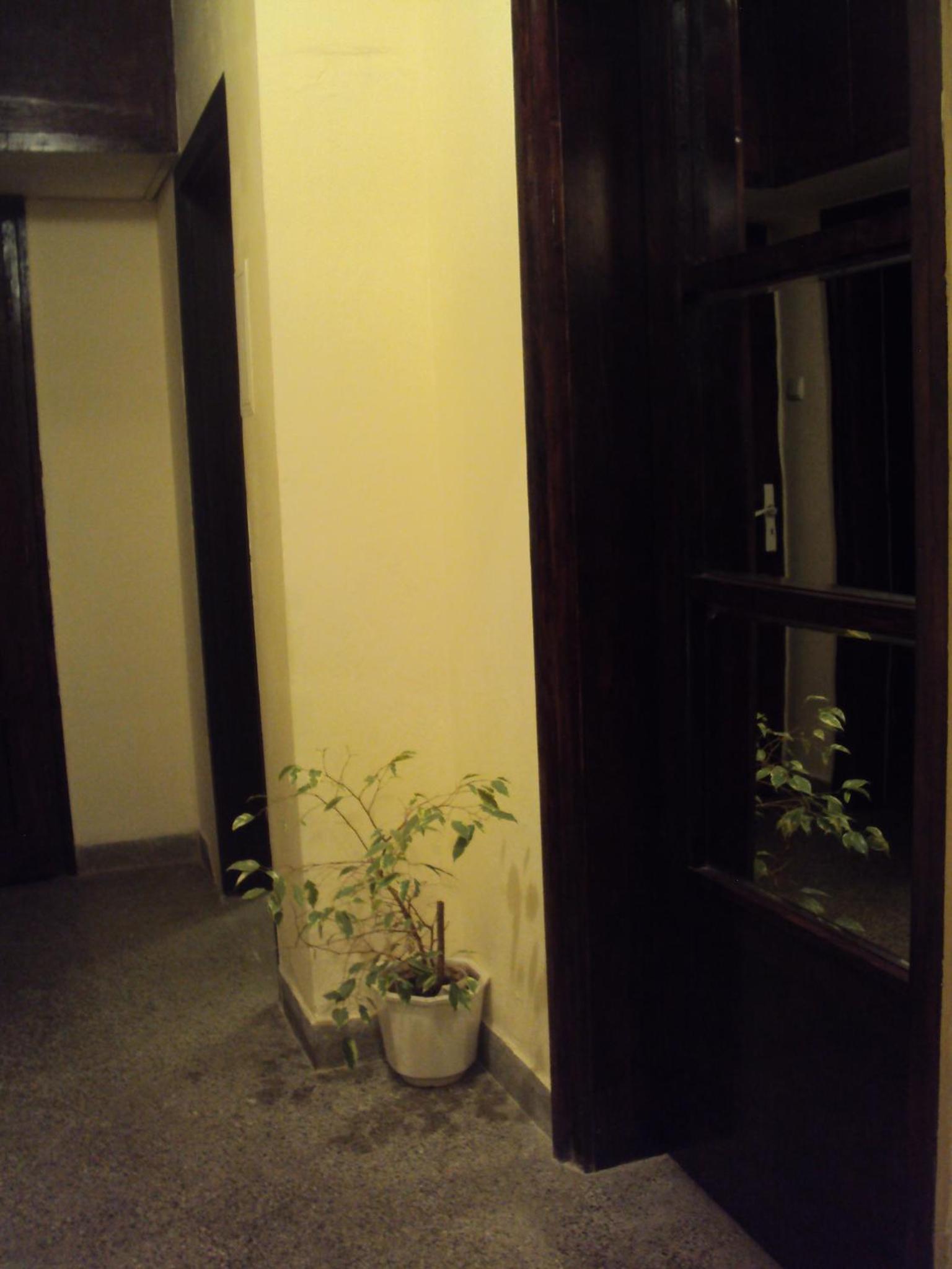 Apartment with Balcony - Photo 29