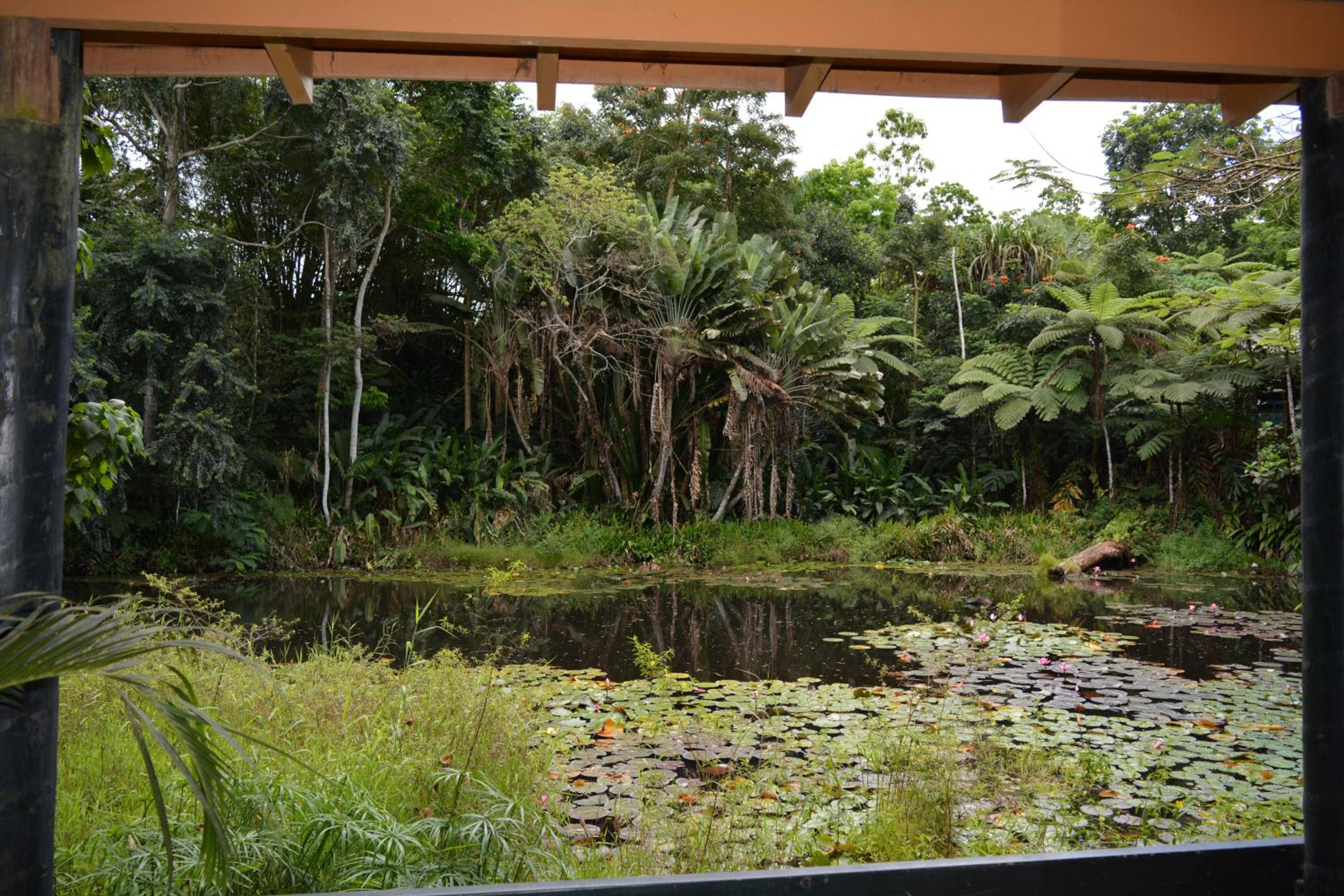 Budget Twin Room - Pond View photo 7