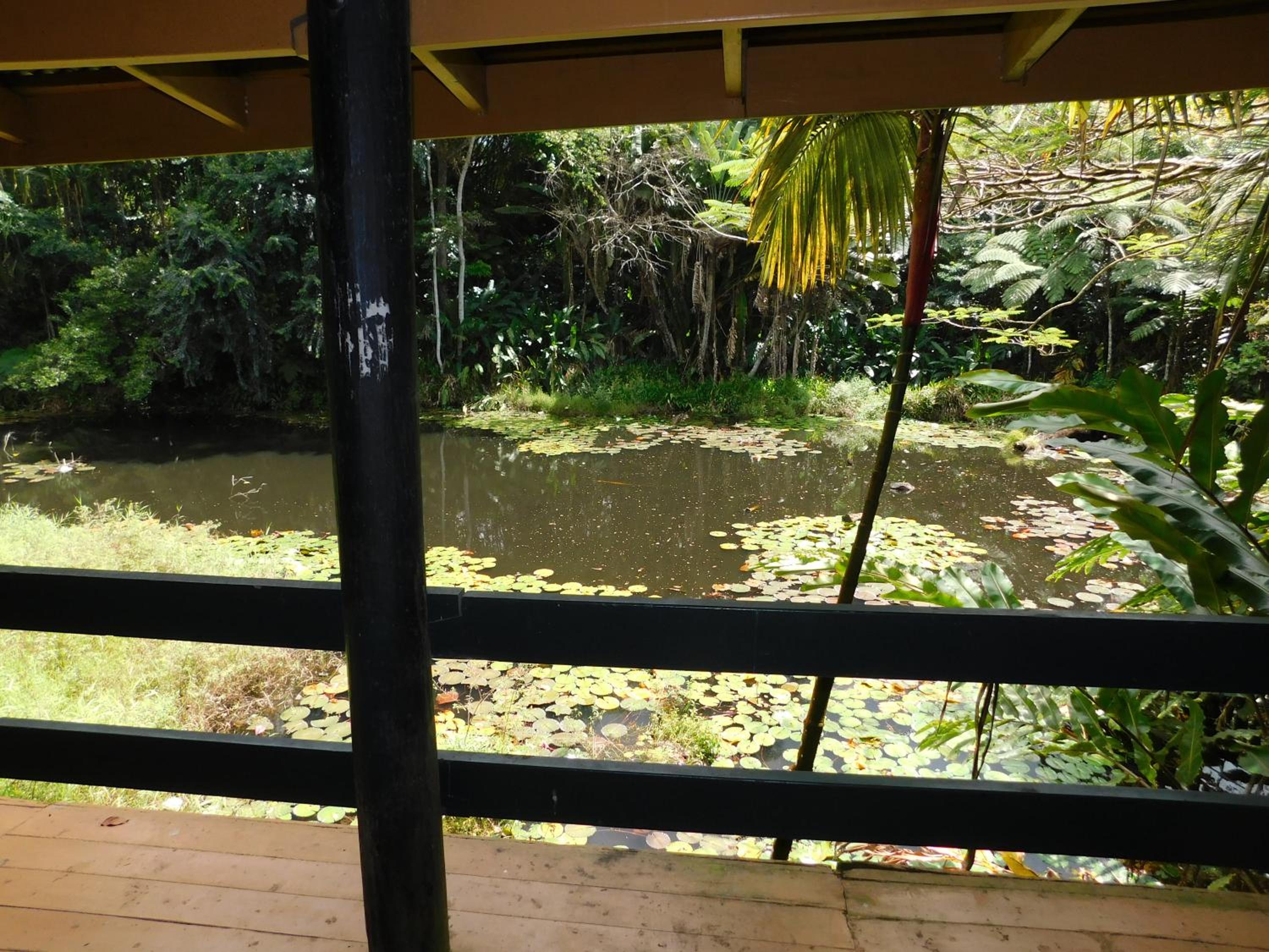 Budget Double Room - Pond View photo 6