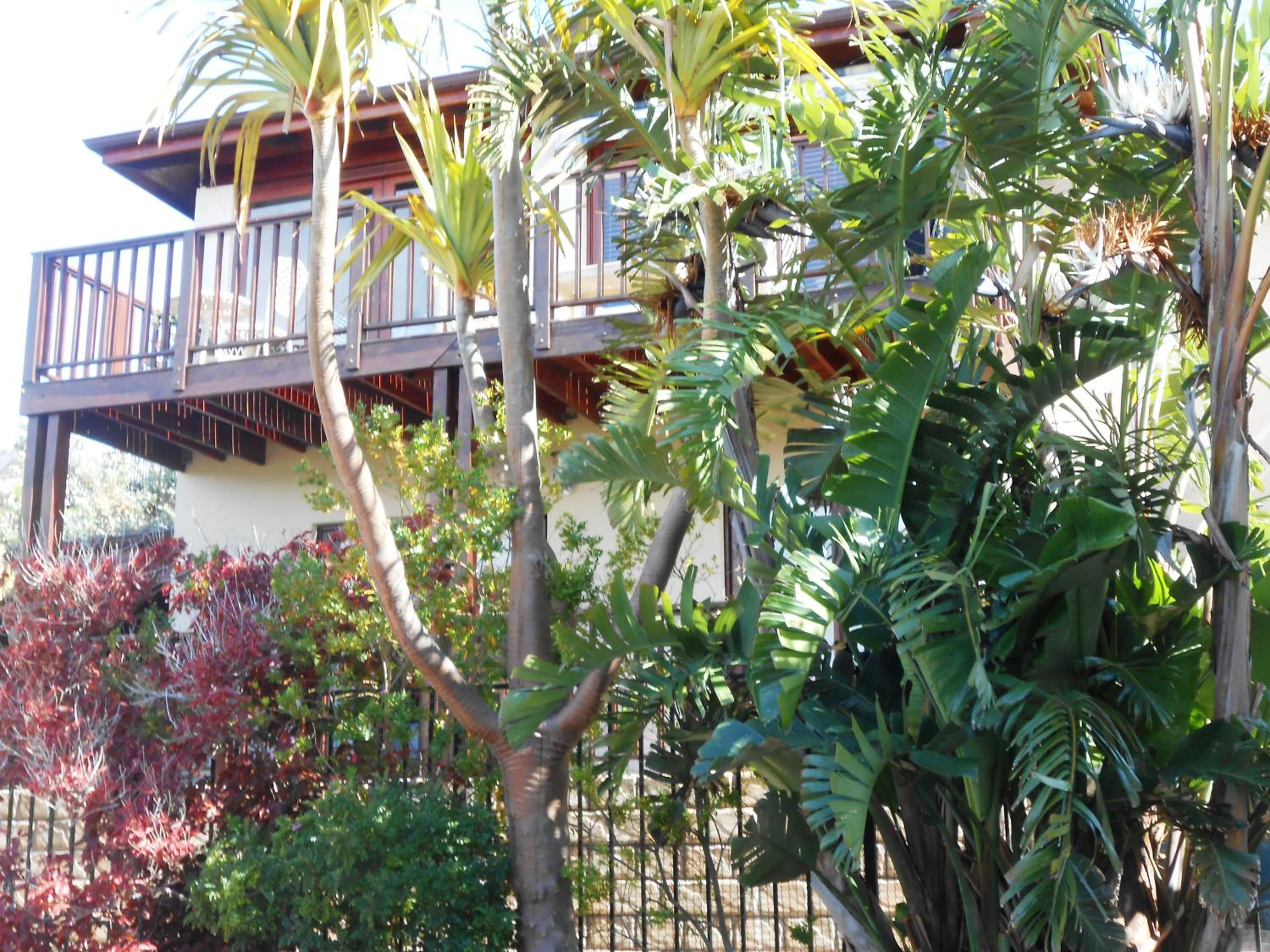 Apartment with Garden View photo 3