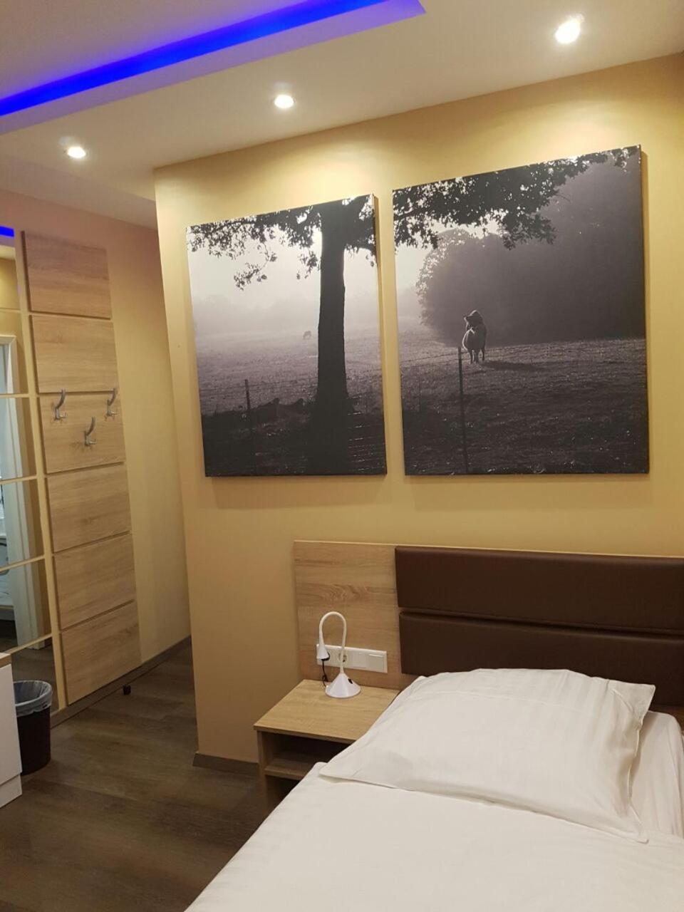 Single Room photo 3