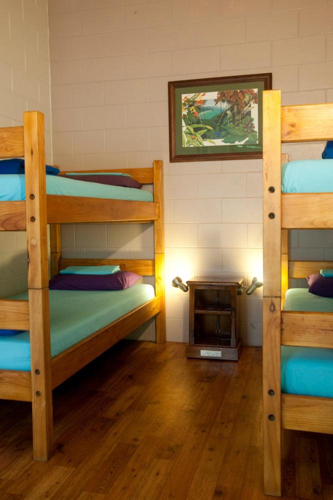 Bunk in Mixed 4-Bed Share Room photo 1