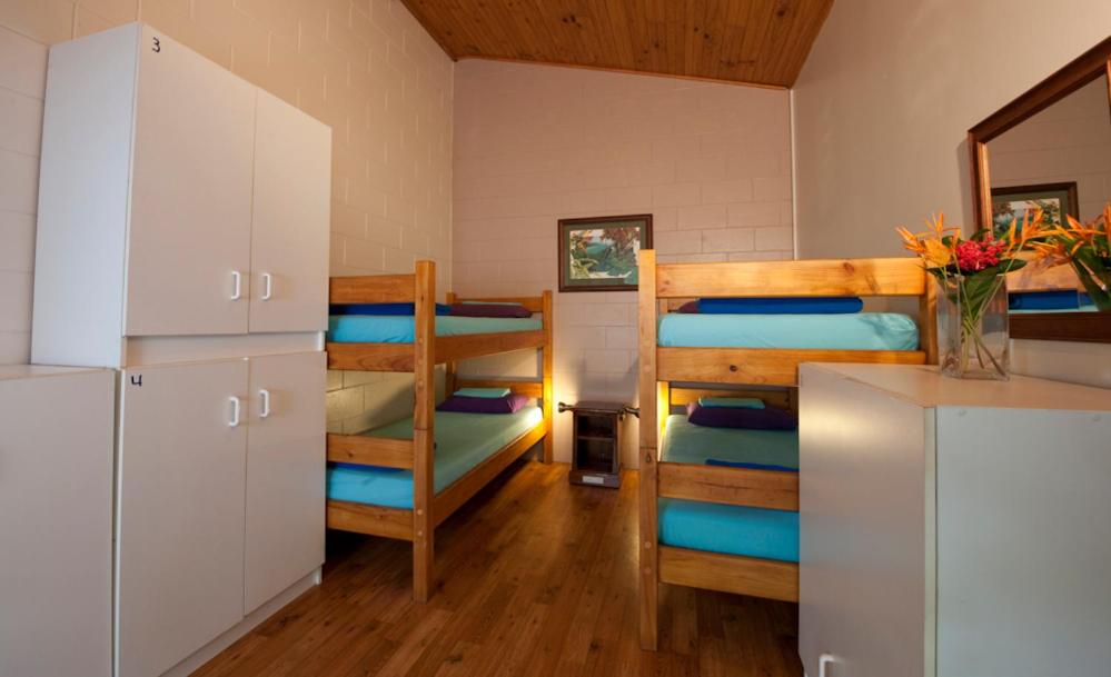 Bunk in Mixed 4-Bed Share Room photo 2