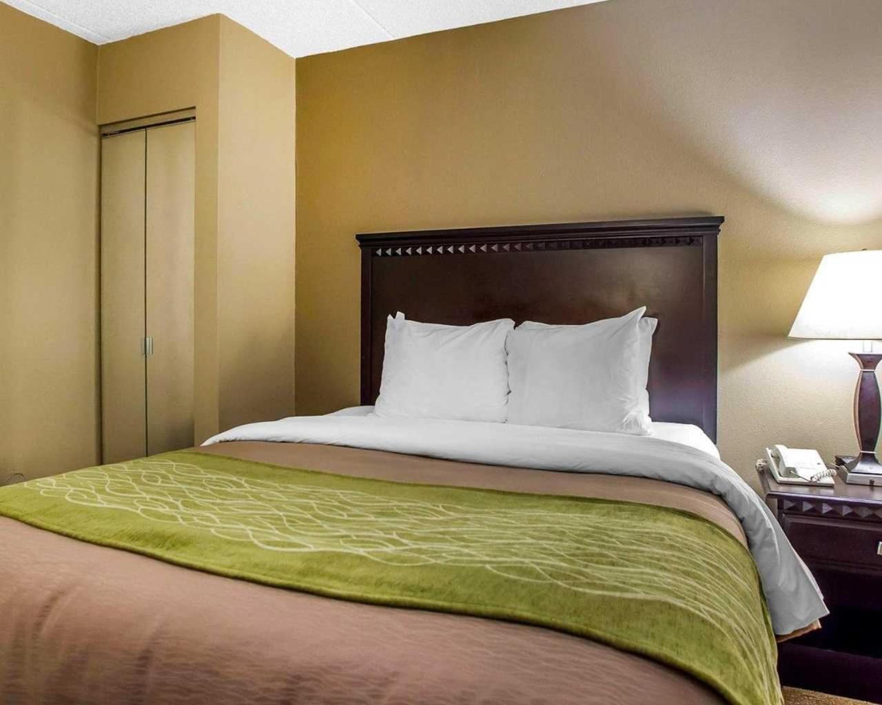 Non-Smoking Single Queen Room - Photo 2