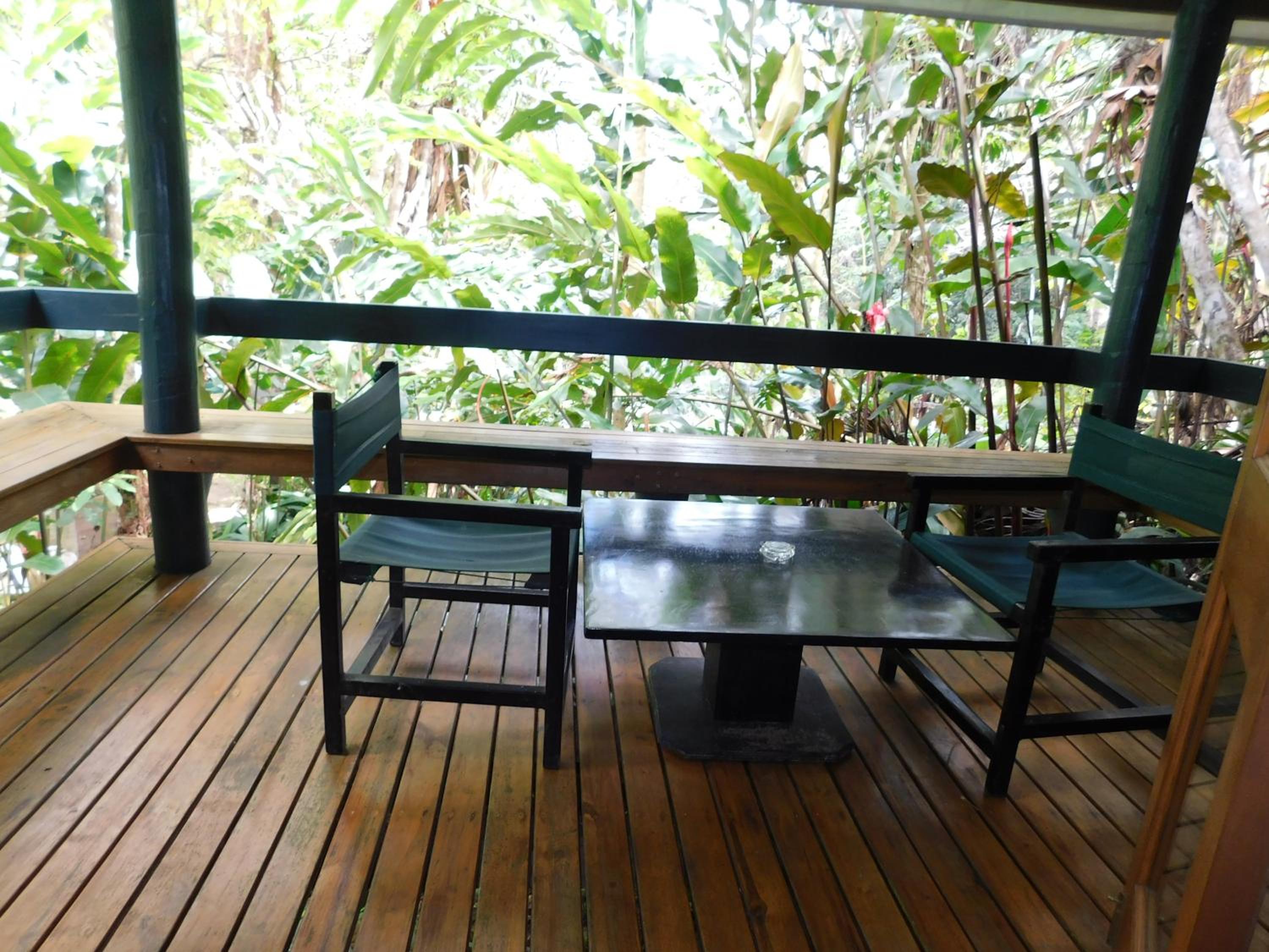 Bure With Forest Garden View